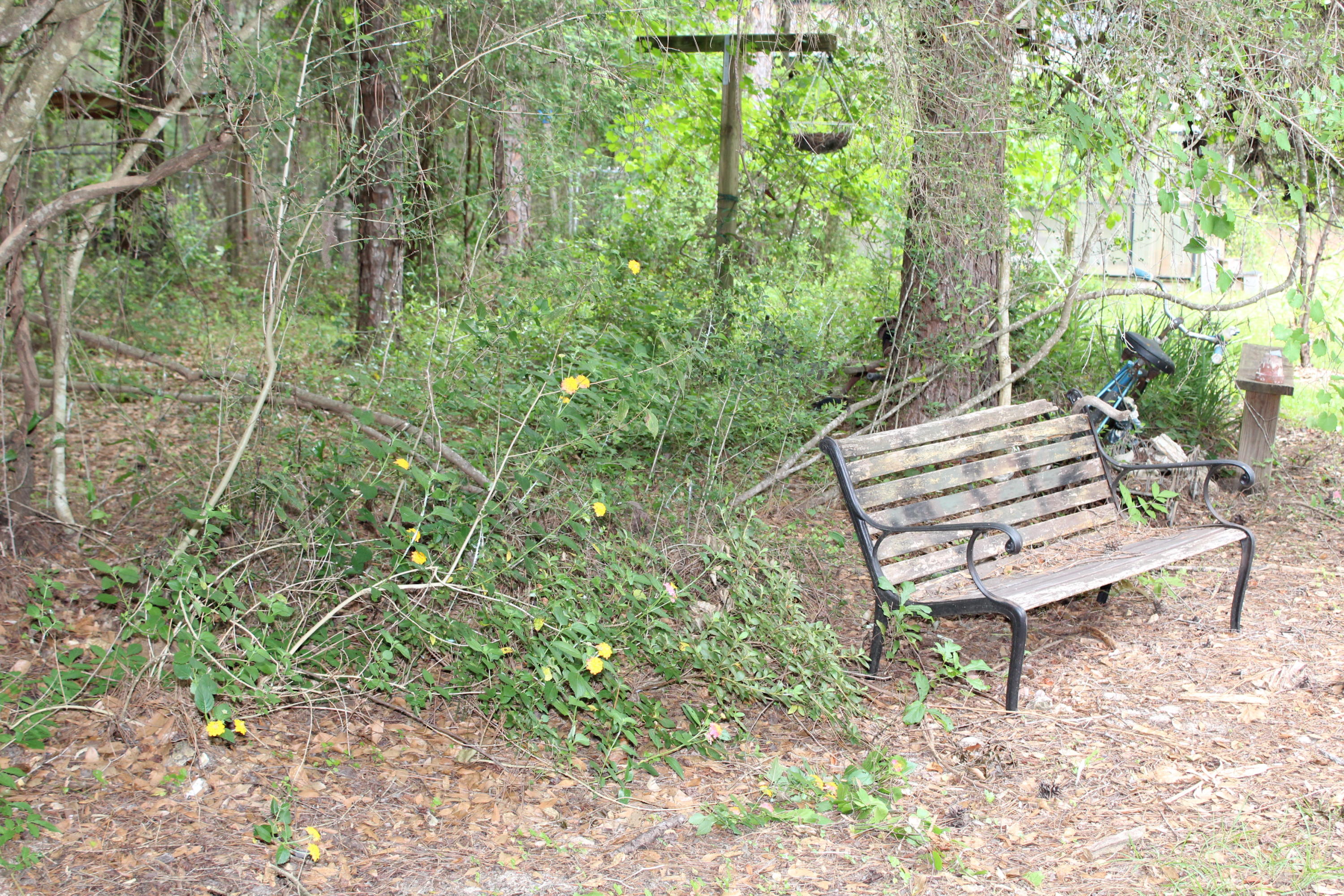 Overstreet Home - Residential