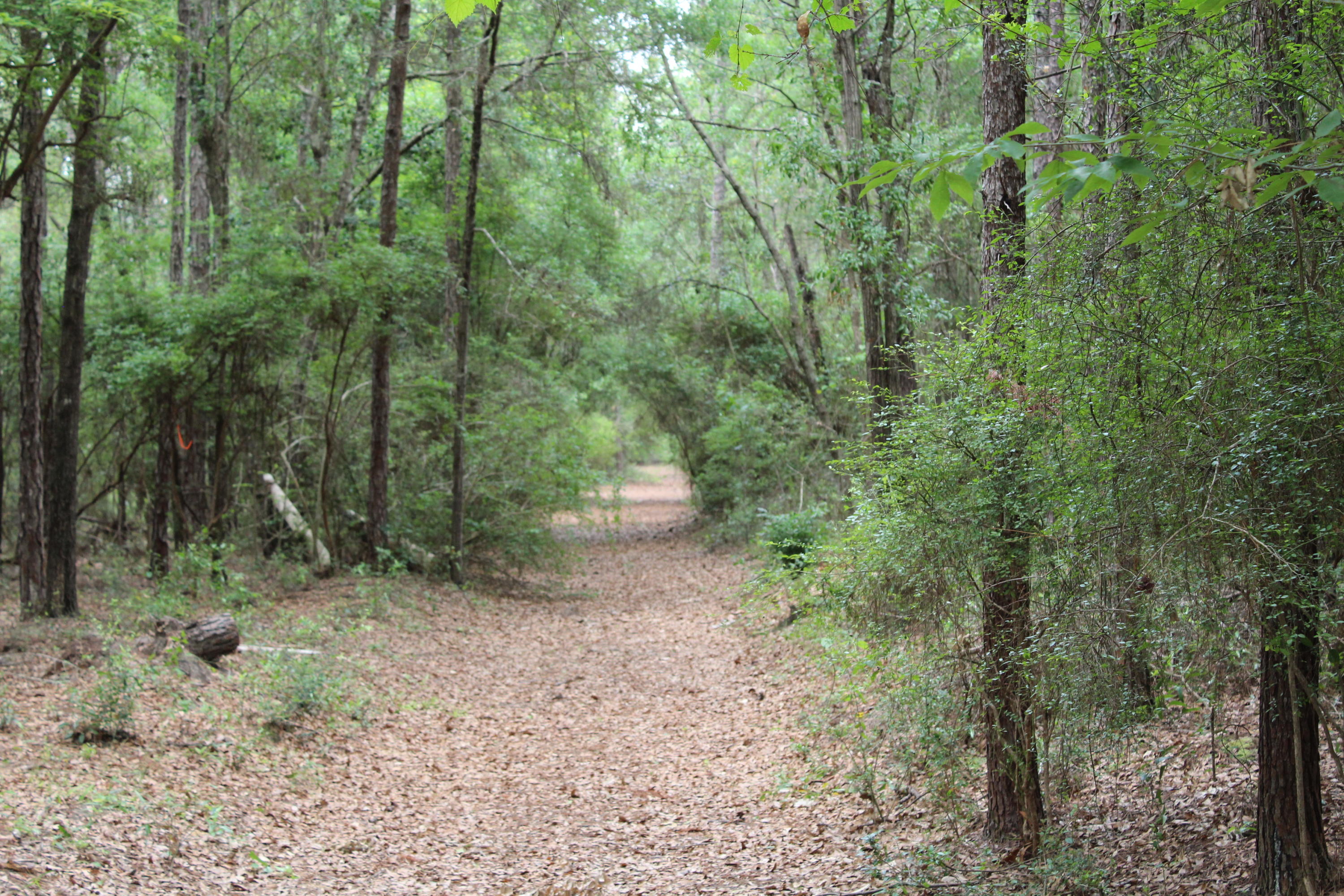 Overstreet Home - Residential