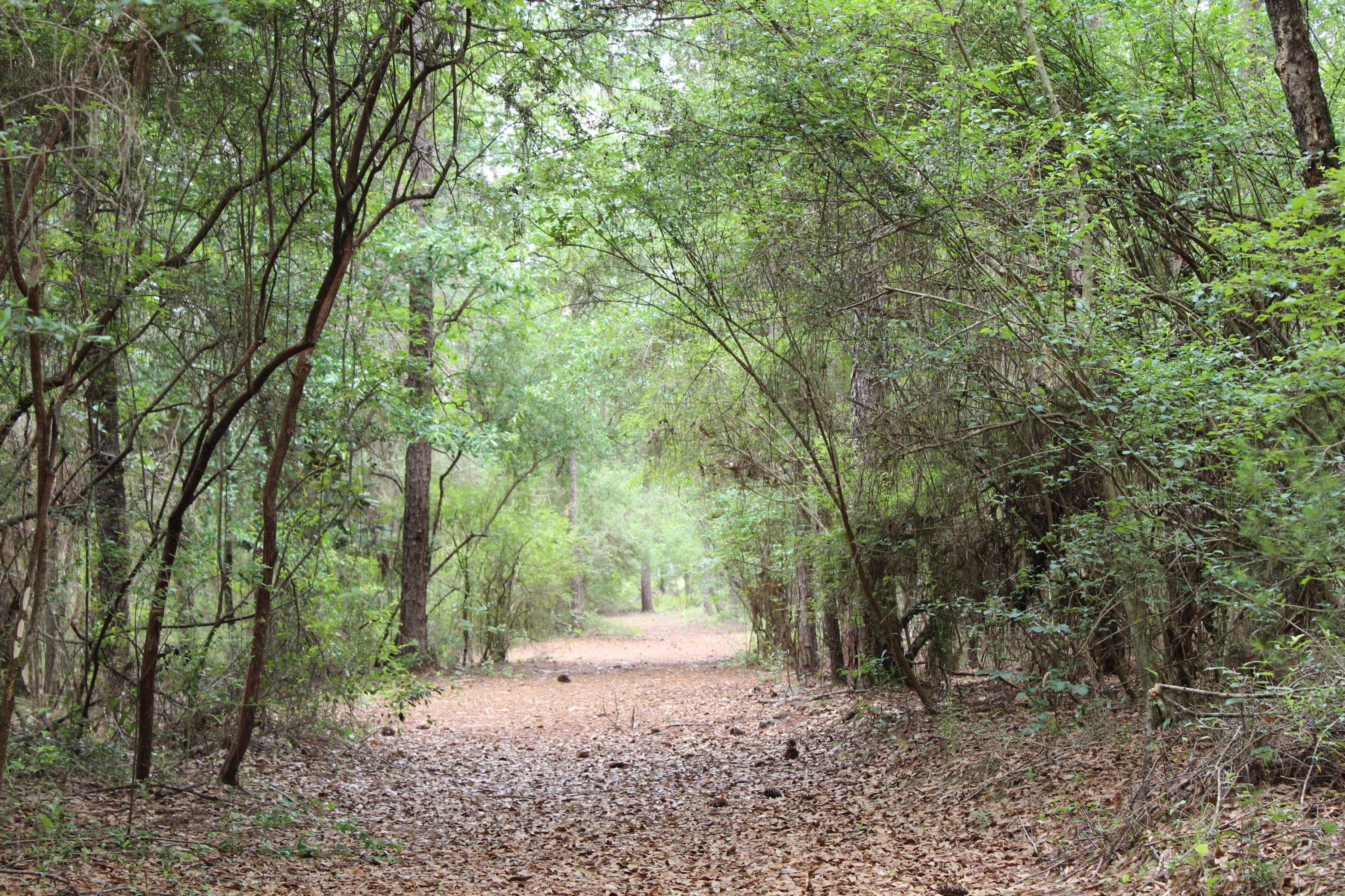 Overstreet Home - Residential