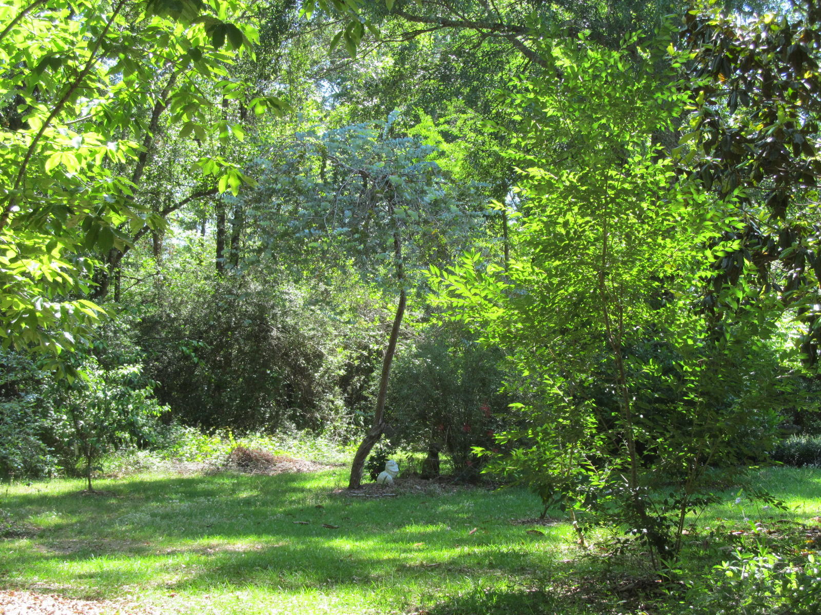 Overstreet Home - Residential