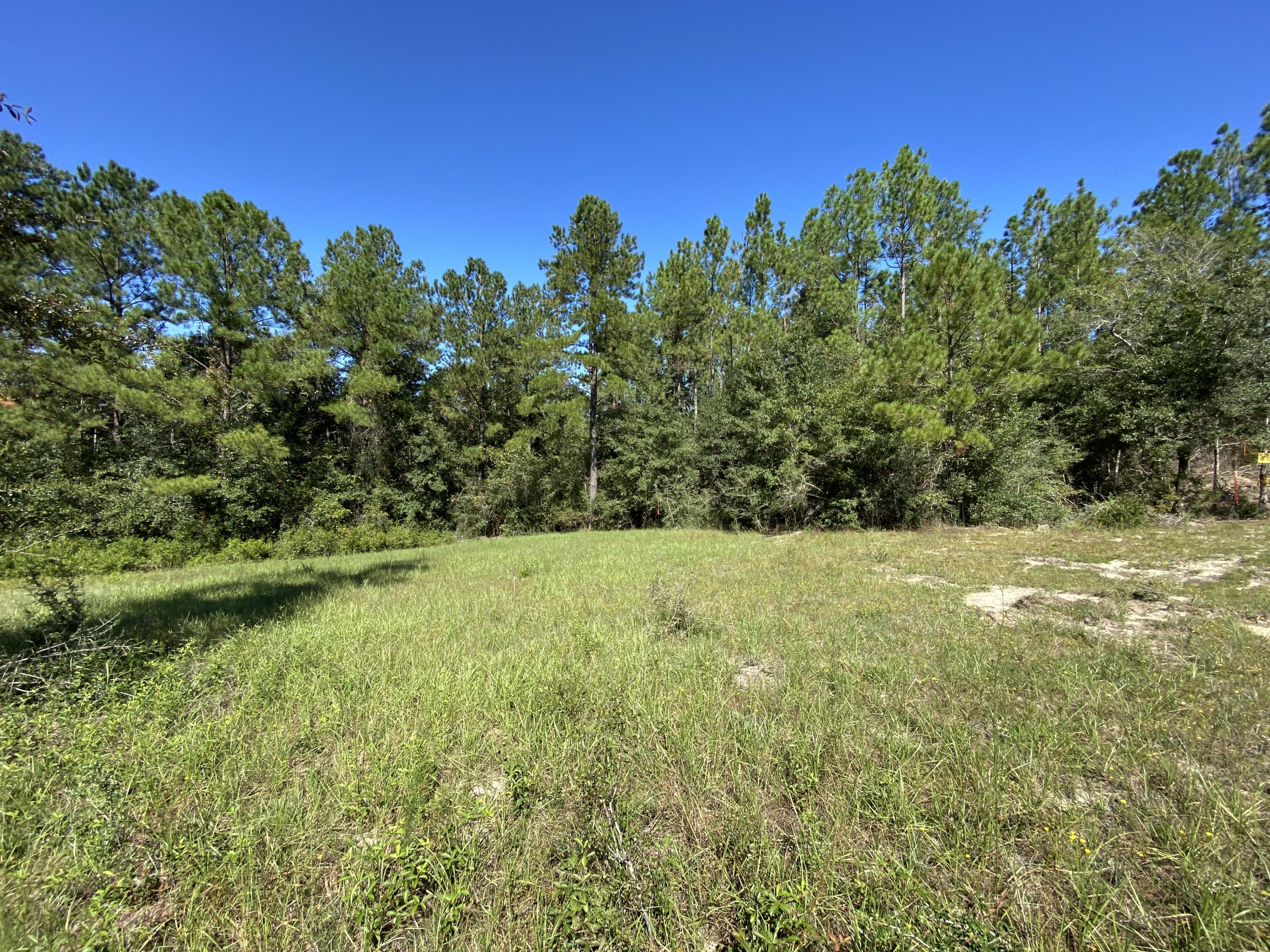 METES & BOUNDS - Land