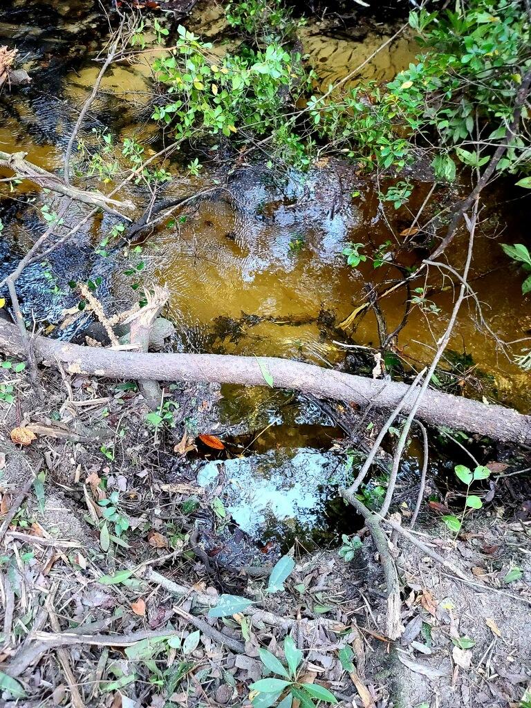 METES & BOUNDS - Land