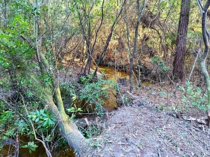 METES & BOUNDS - Land