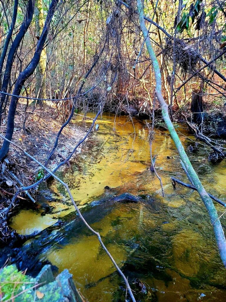 METES & BOUNDS - Land