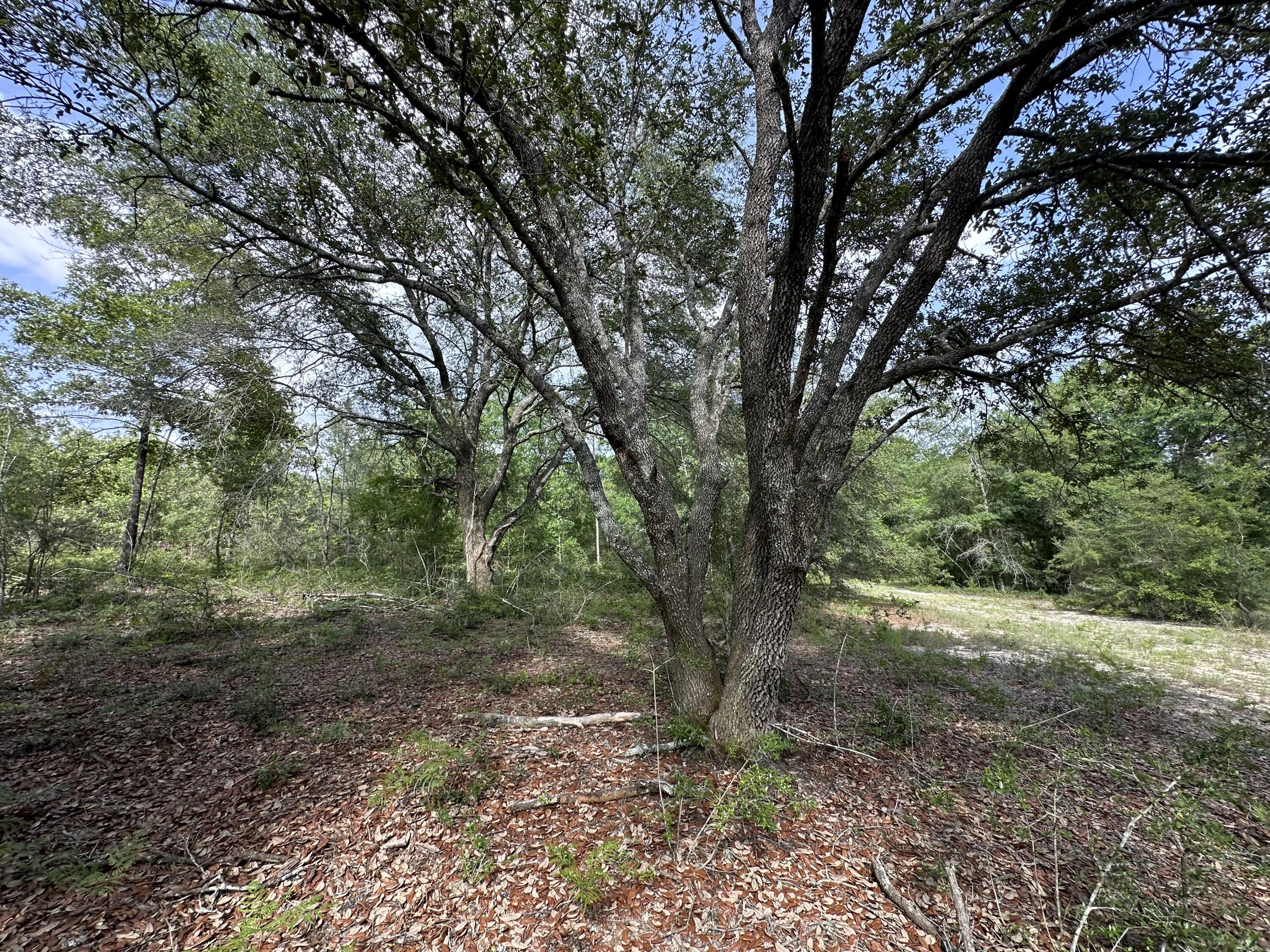 NO RECORDED SUBDIVISION - Land