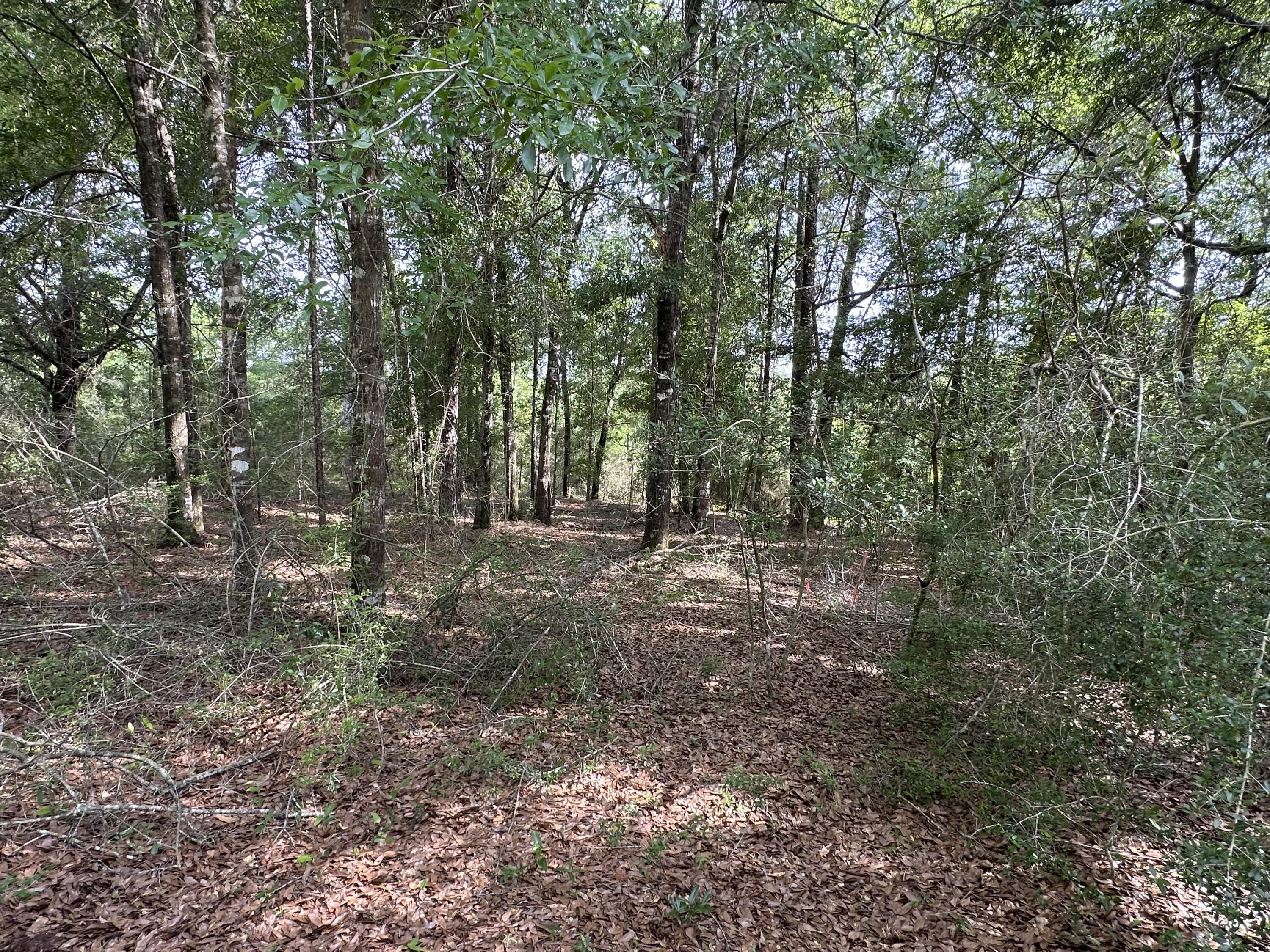 NO RECORDED SUBDIVISION - Land