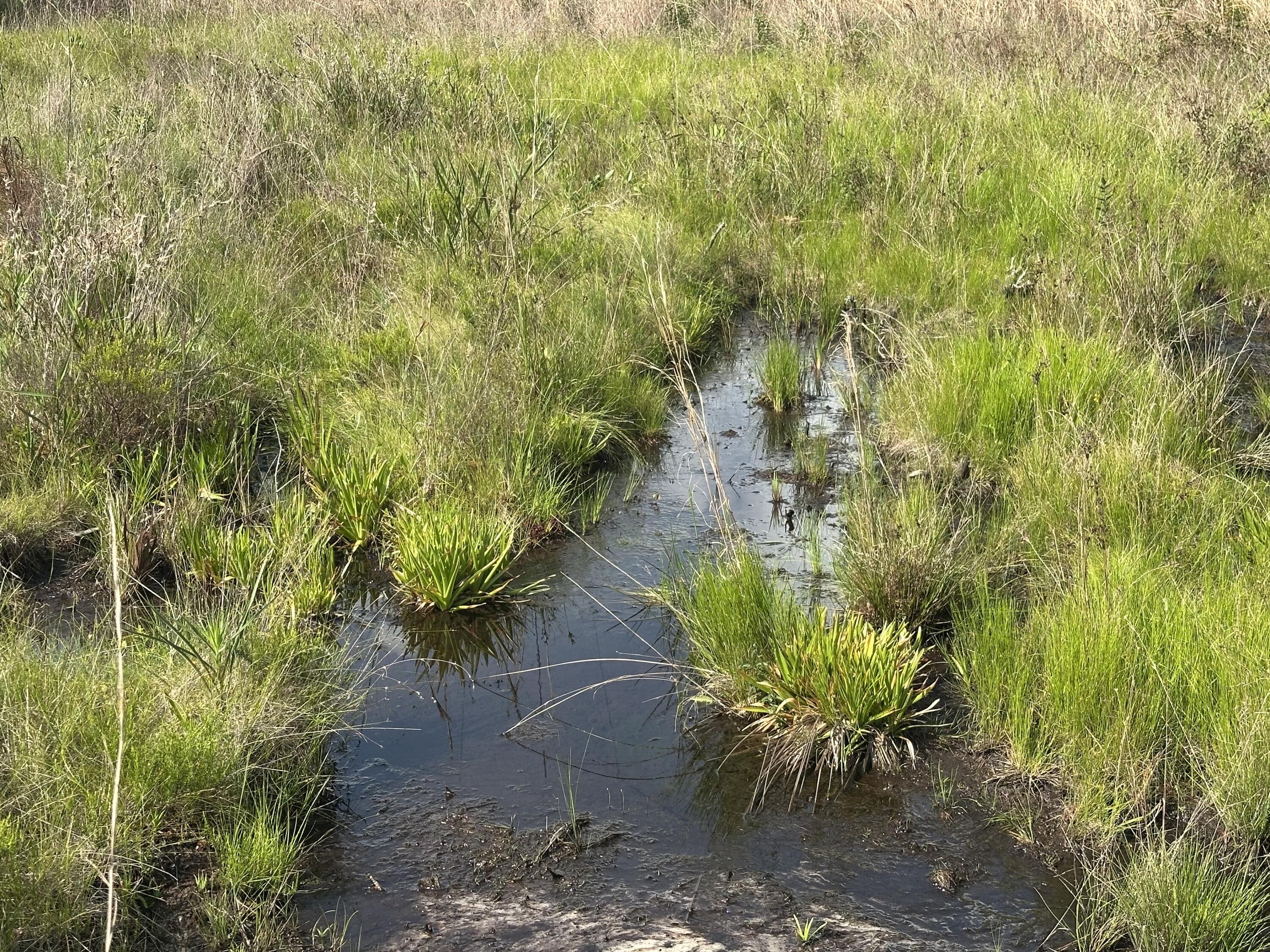 NO RECORDED SUBDIVISION - Land