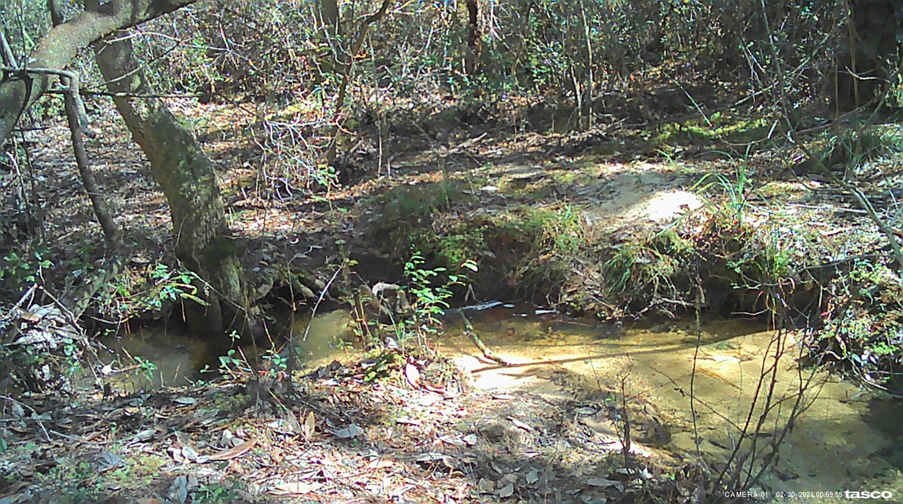 OAKWOOD HILLS UNIT 4 - Land