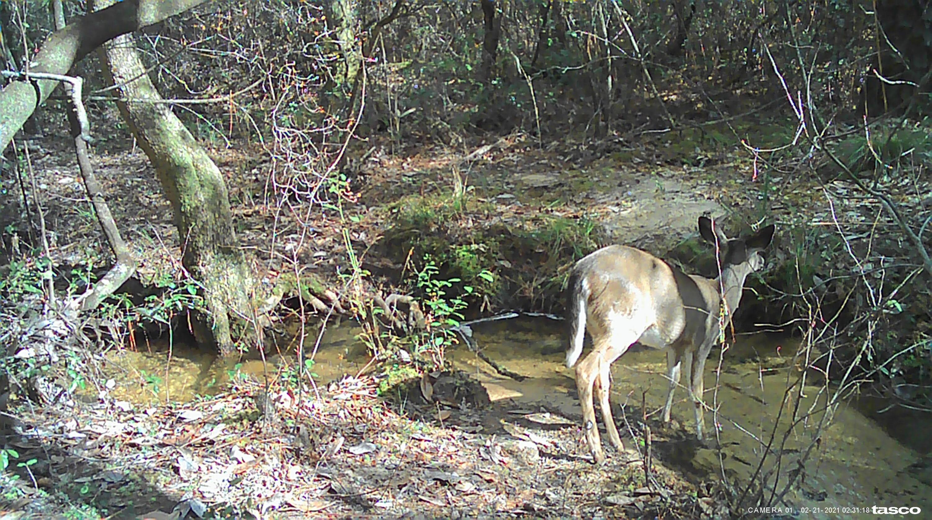 OAKWOOD HILLS UNIT 4 - Land