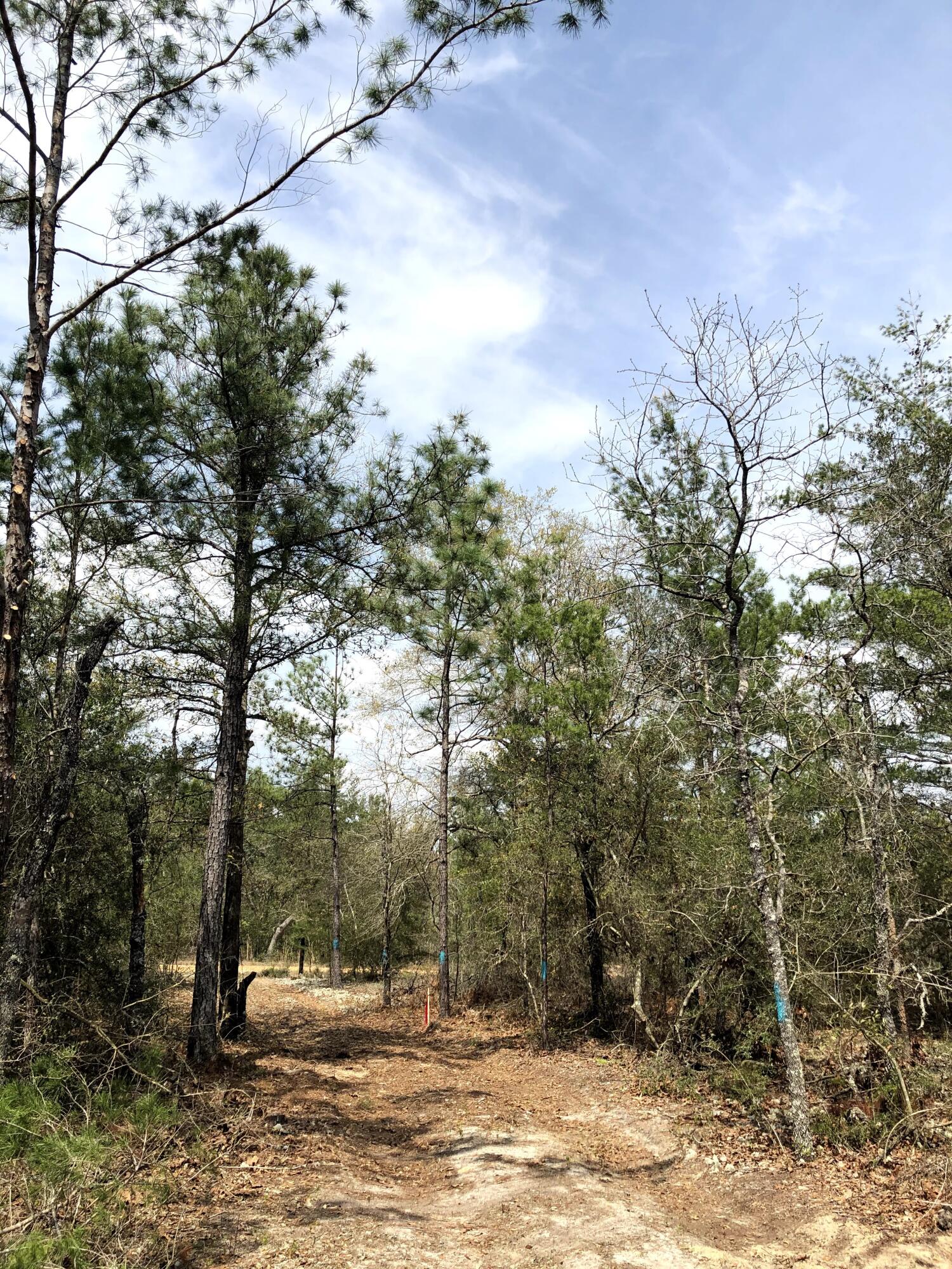 OAKWOOD HILLS UNIT 4 - Land