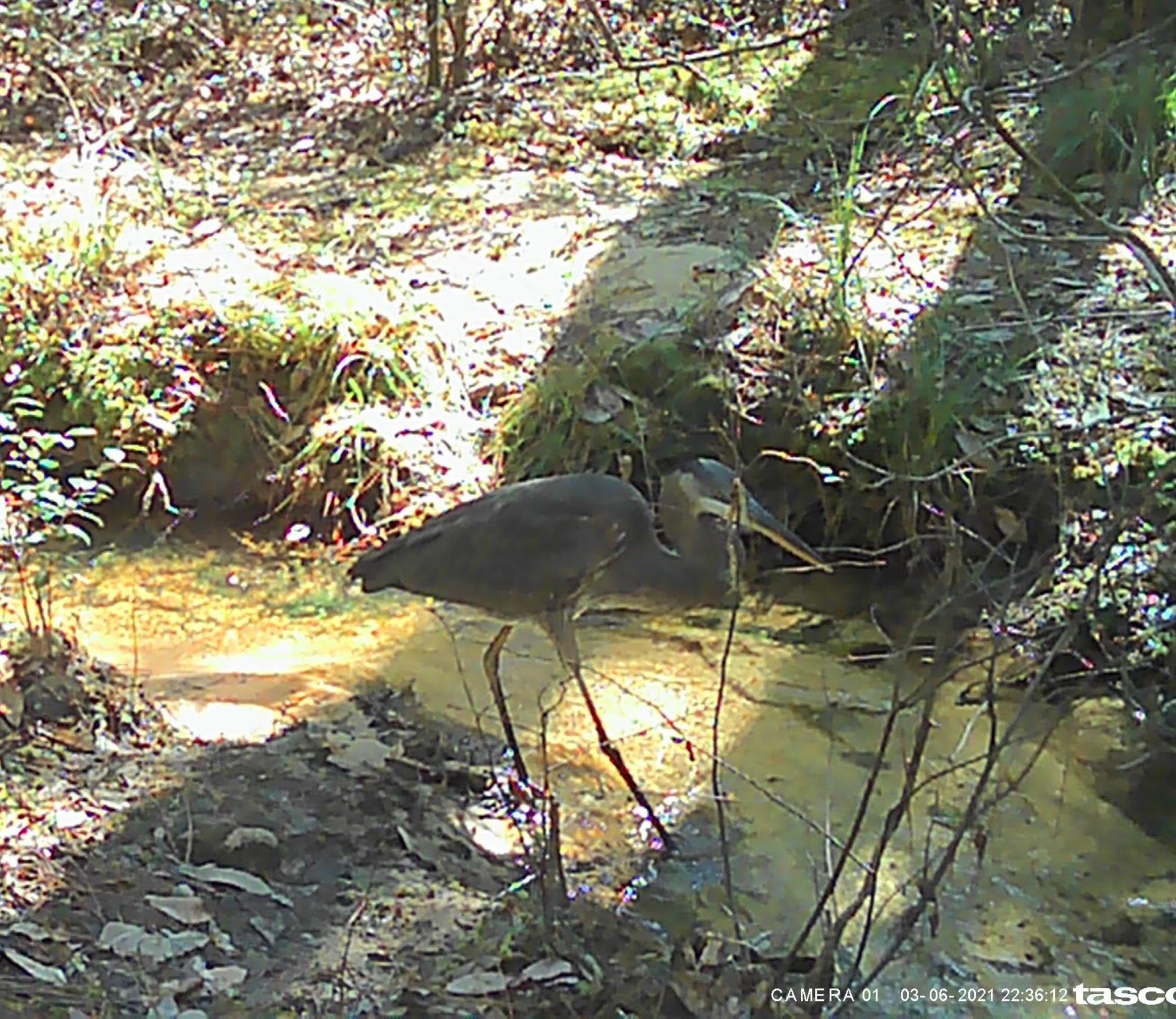 OAKWOOD HILLS UNIT 4 - Land