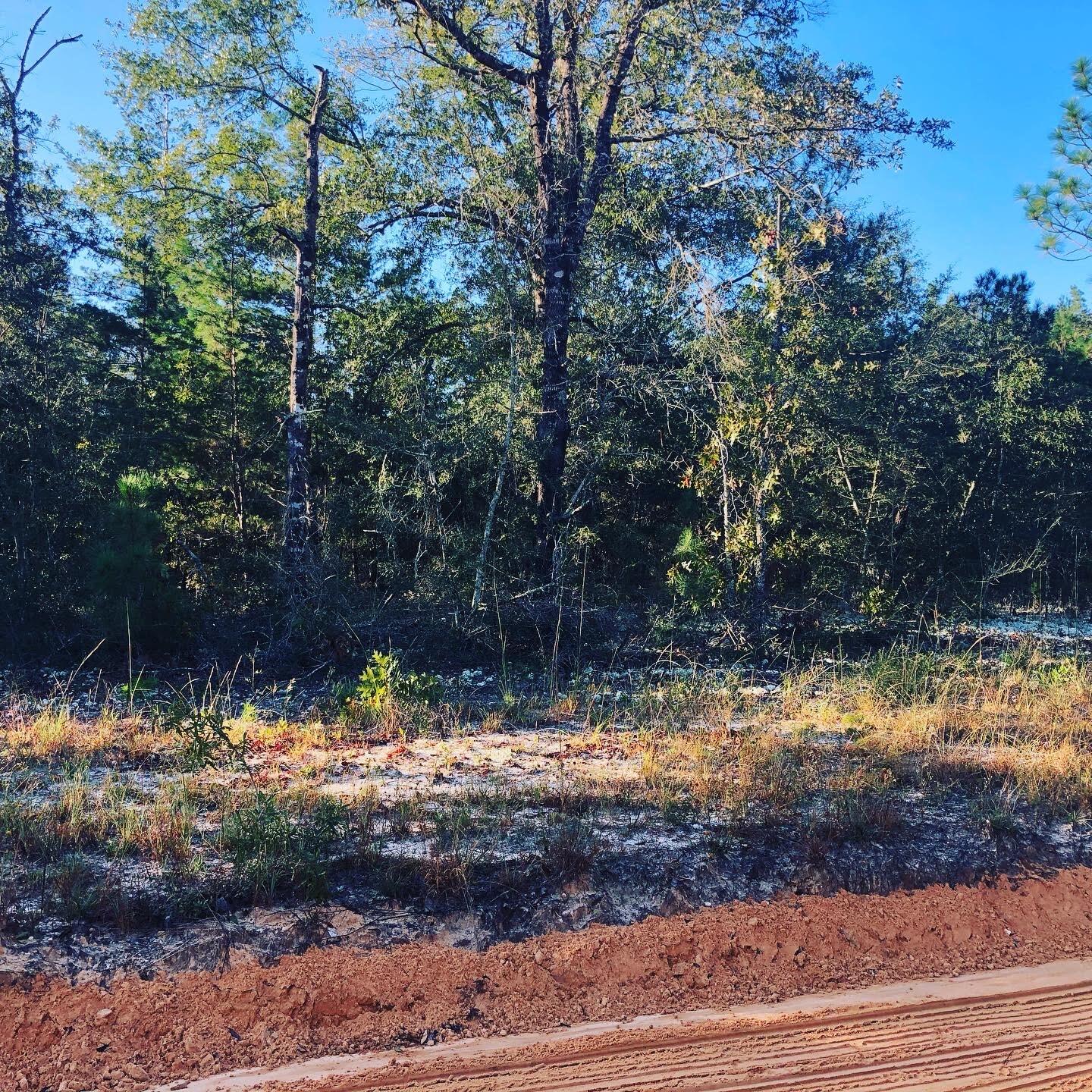 OAKWOOD HILLS UNIT 4 - Land