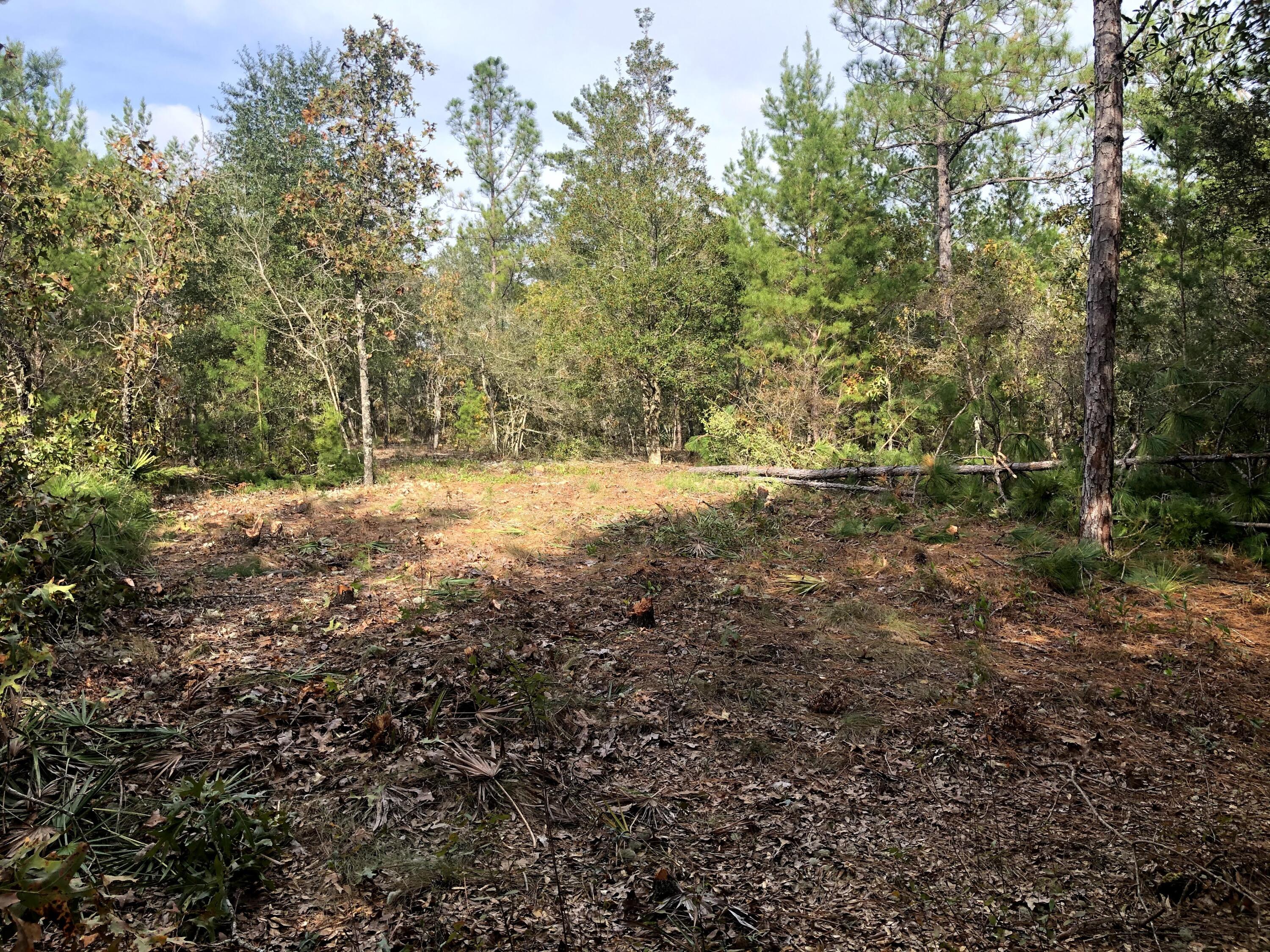 OAKWOOD HILLS UNIT 4 - Land