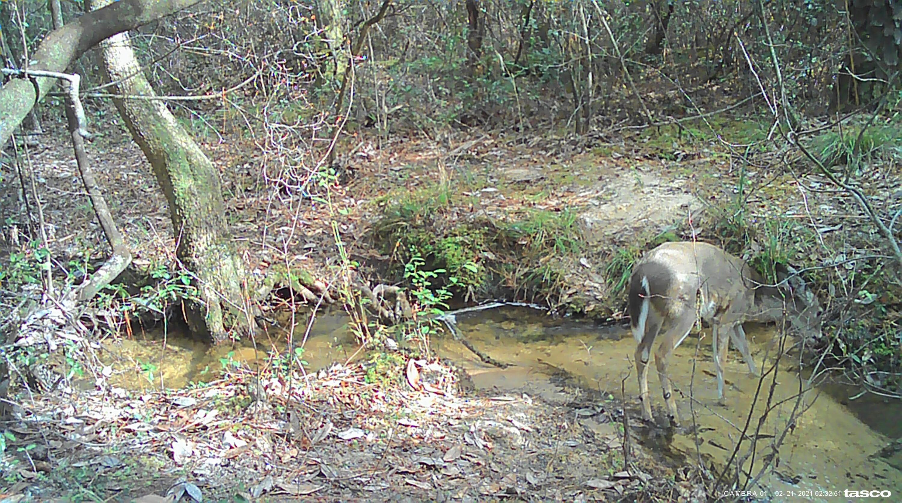 OAKWOOD HILLS UNIT 4 - Land