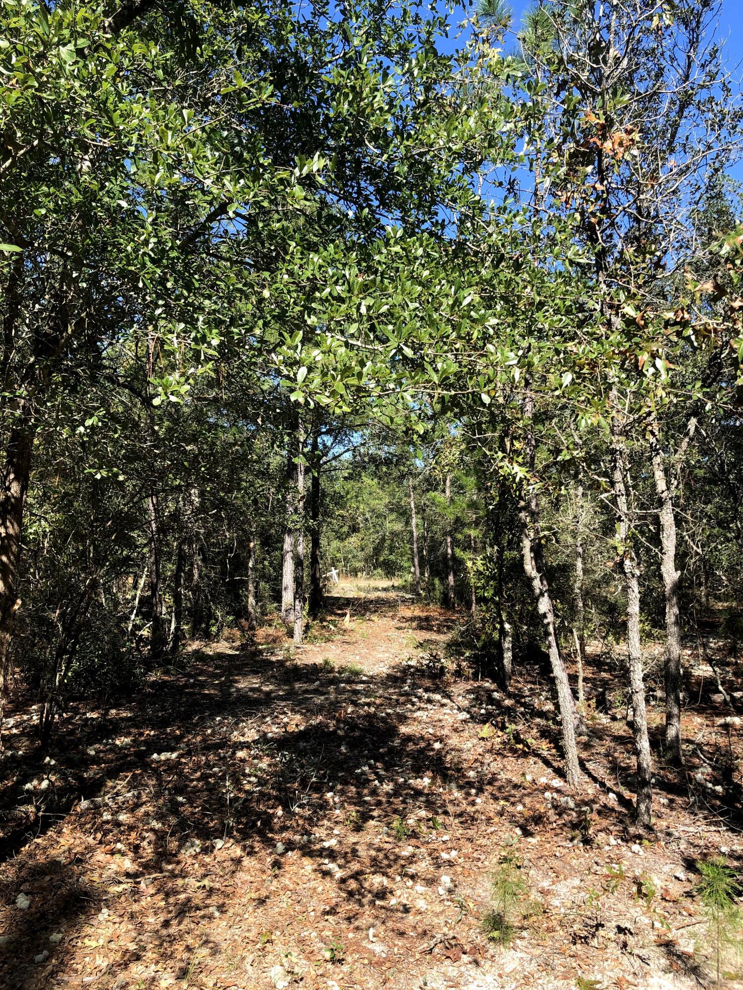 OAKWOOD HILLS UNIT 4 - Land