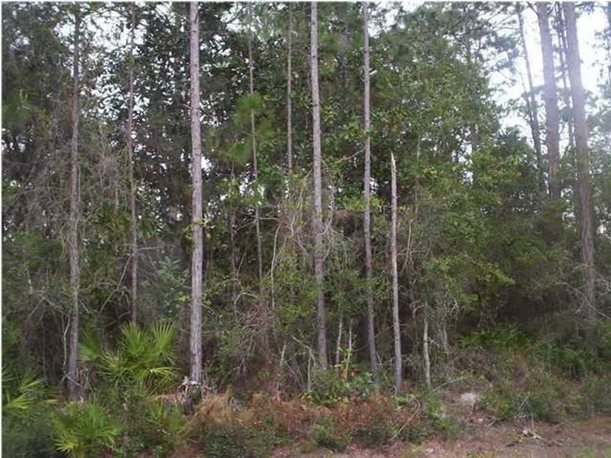 GREAT LOCATION!! ONE OF THREE WOODED LOTS THAT ARE ONLY MINUTES TO THE BEACH, SHOPPING, AND DINING.