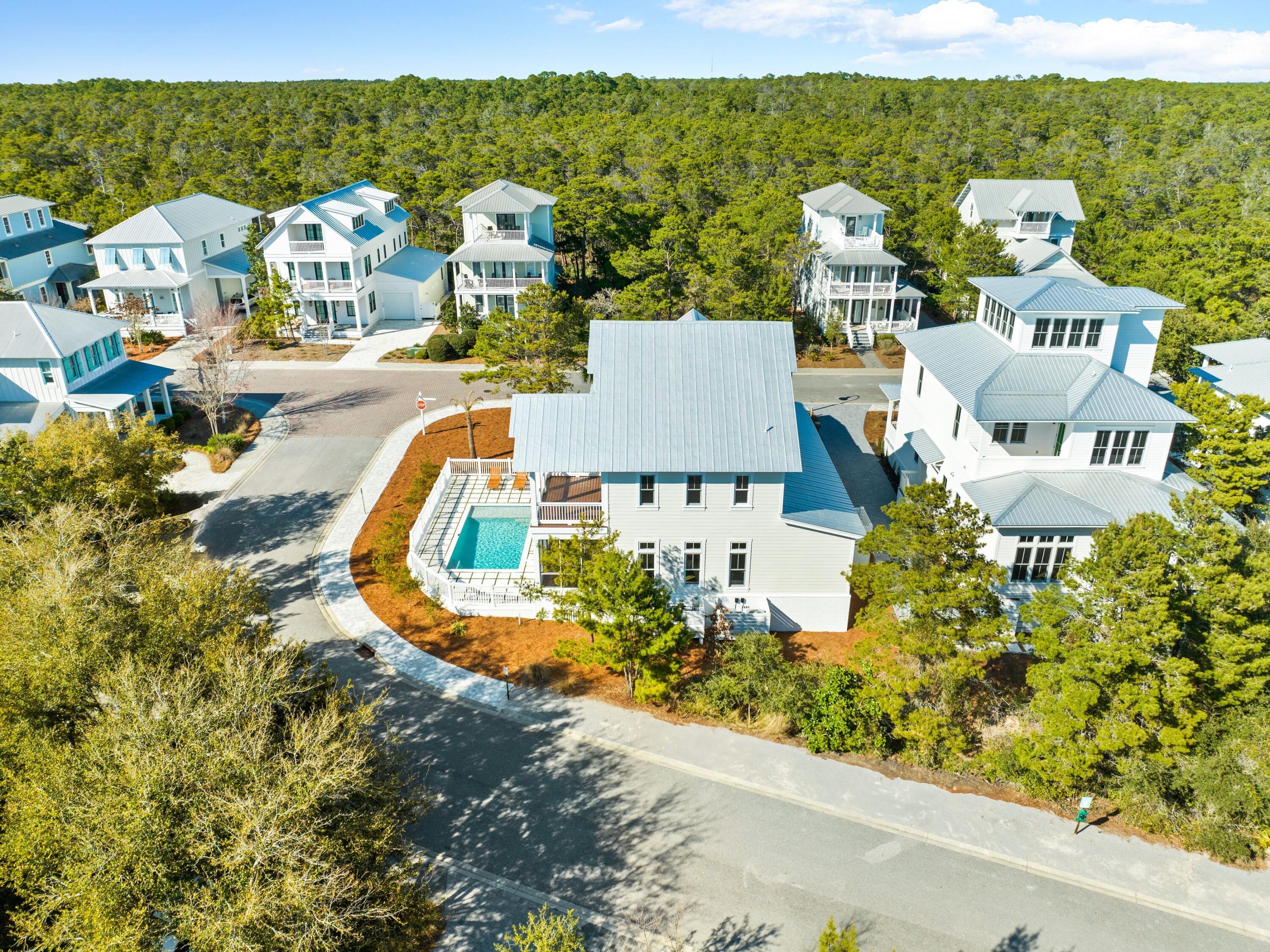 THE PRESERVE AT GRAYTON BEACH - Residential