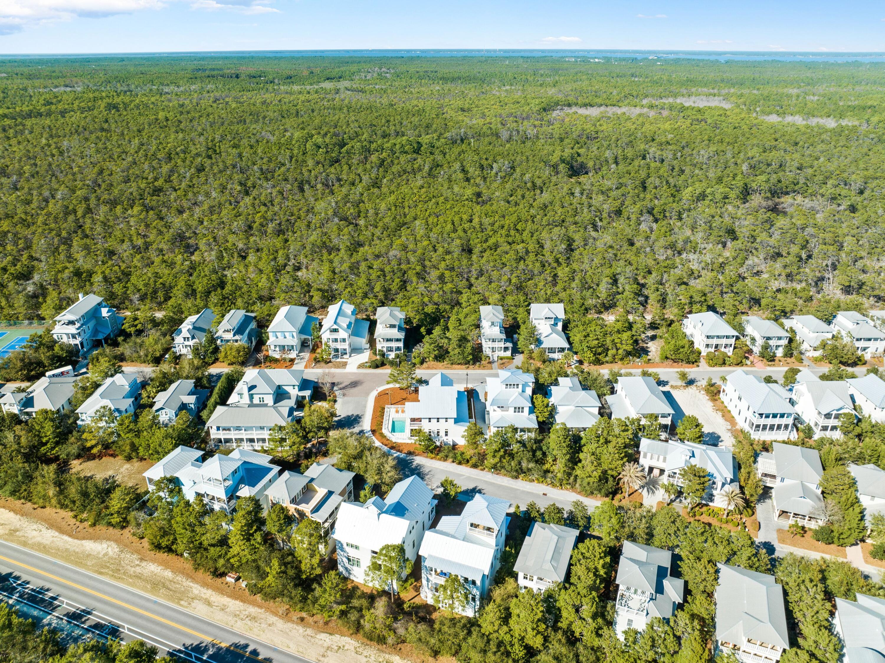 THE PRESERVE AT GRAYTON BEACH - Residential