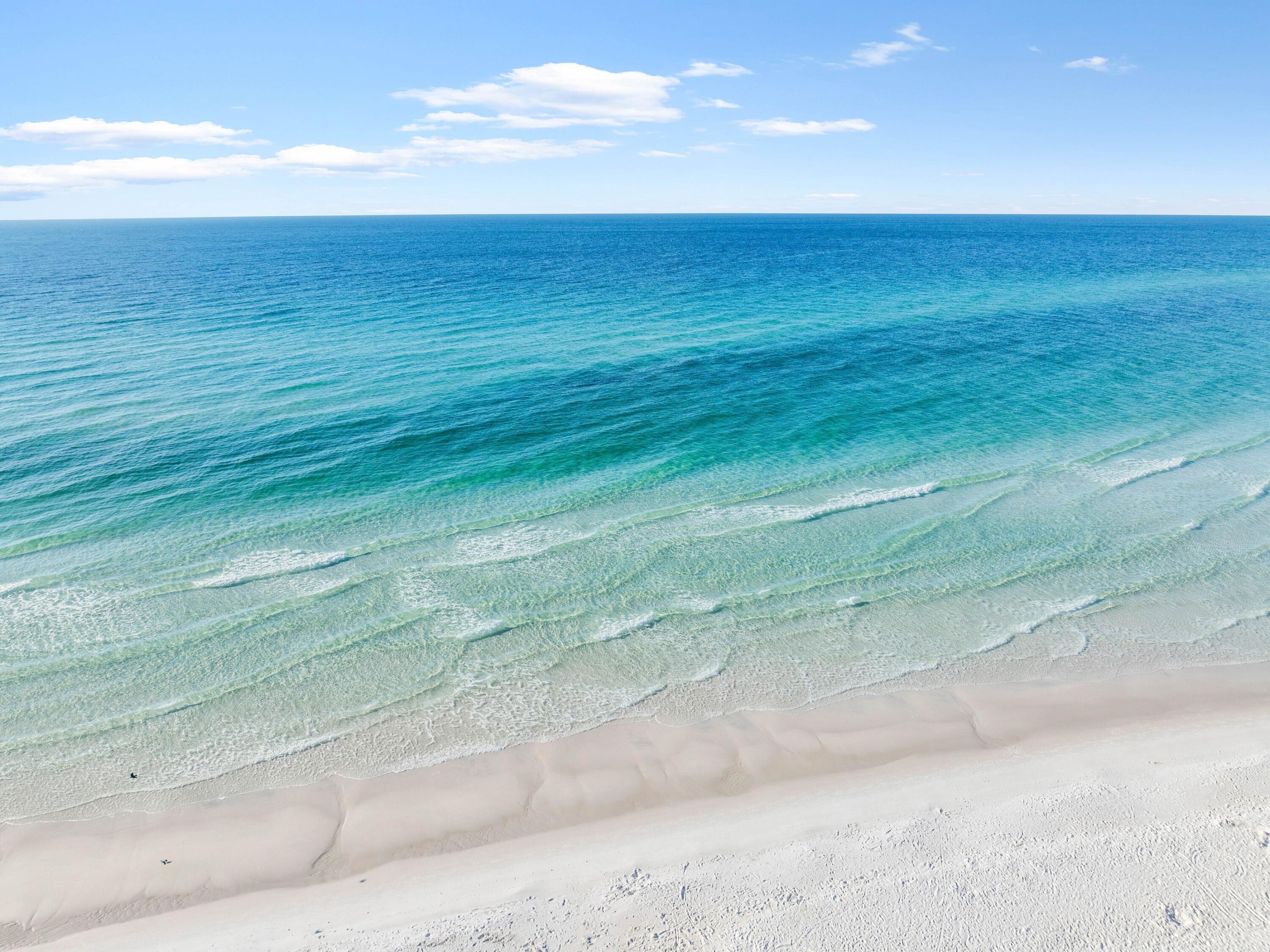THE PRESERVE AT GRAYTON BEACH - Residential