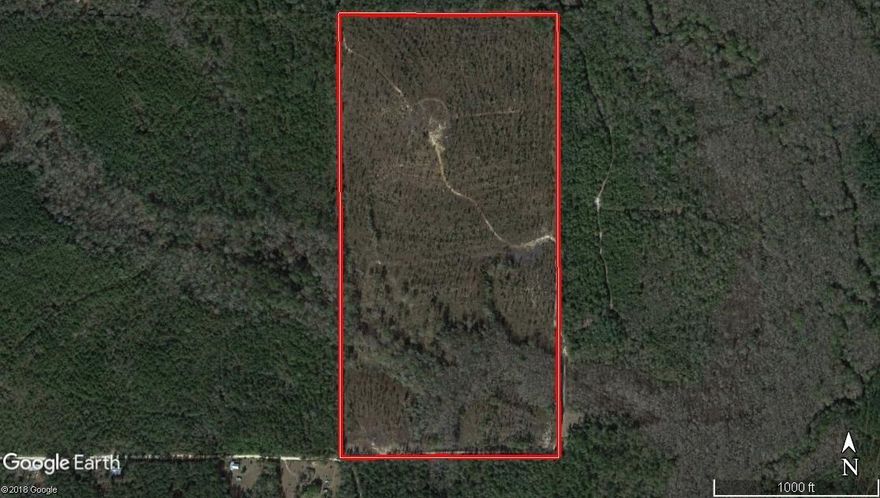 Great 80 acre parcel with frontage on two roads but very private. Perfect track for a great homesite or for hunting or recreation. Power exists at the corner of the property and Sandy Creek Landing Rd. Great price on a great tract! Don't miss this one!