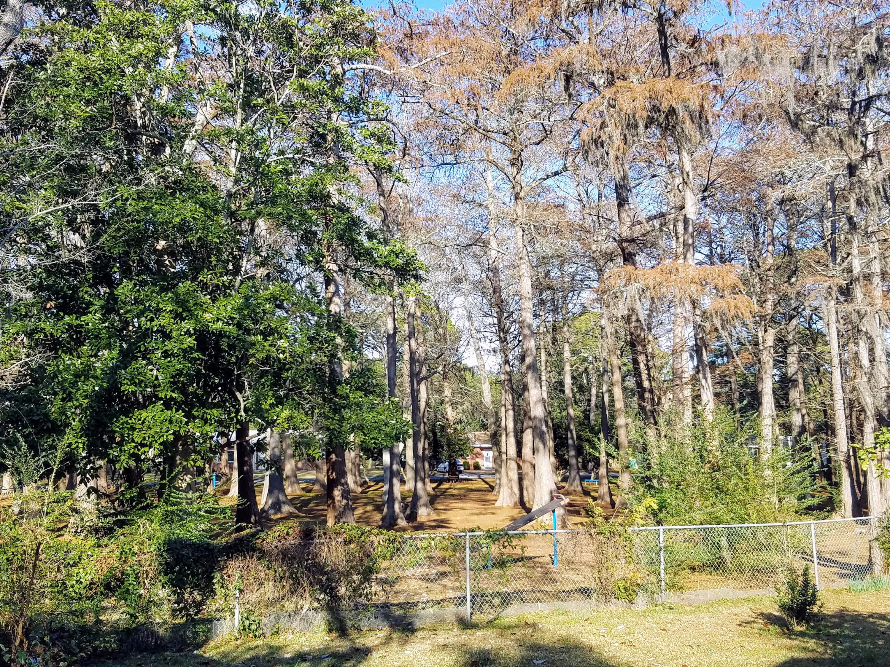 ROSEWOOD HOMES - Residential