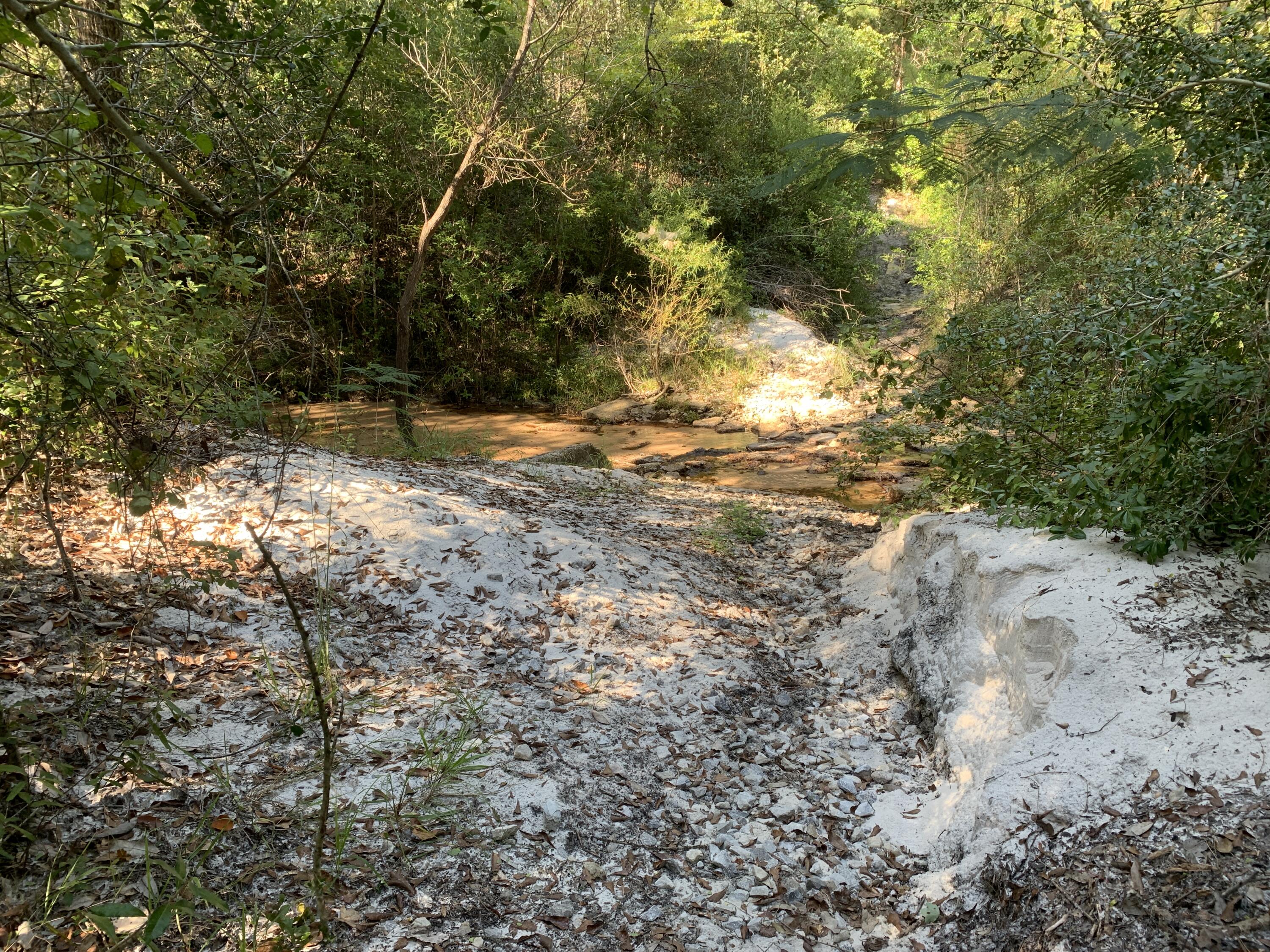 WALTON PLANTATION - Land