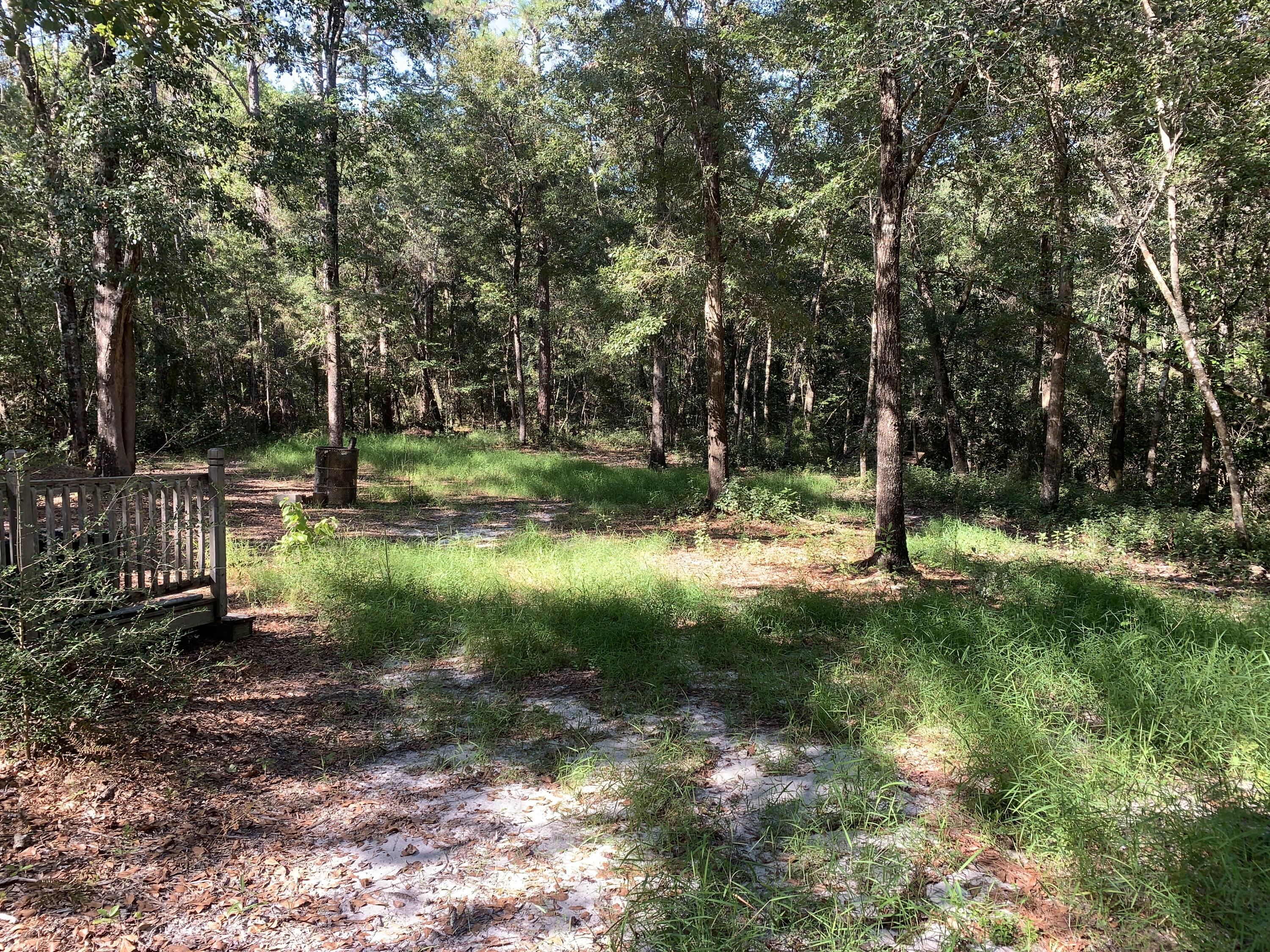 WALTON PLANTATION - Land