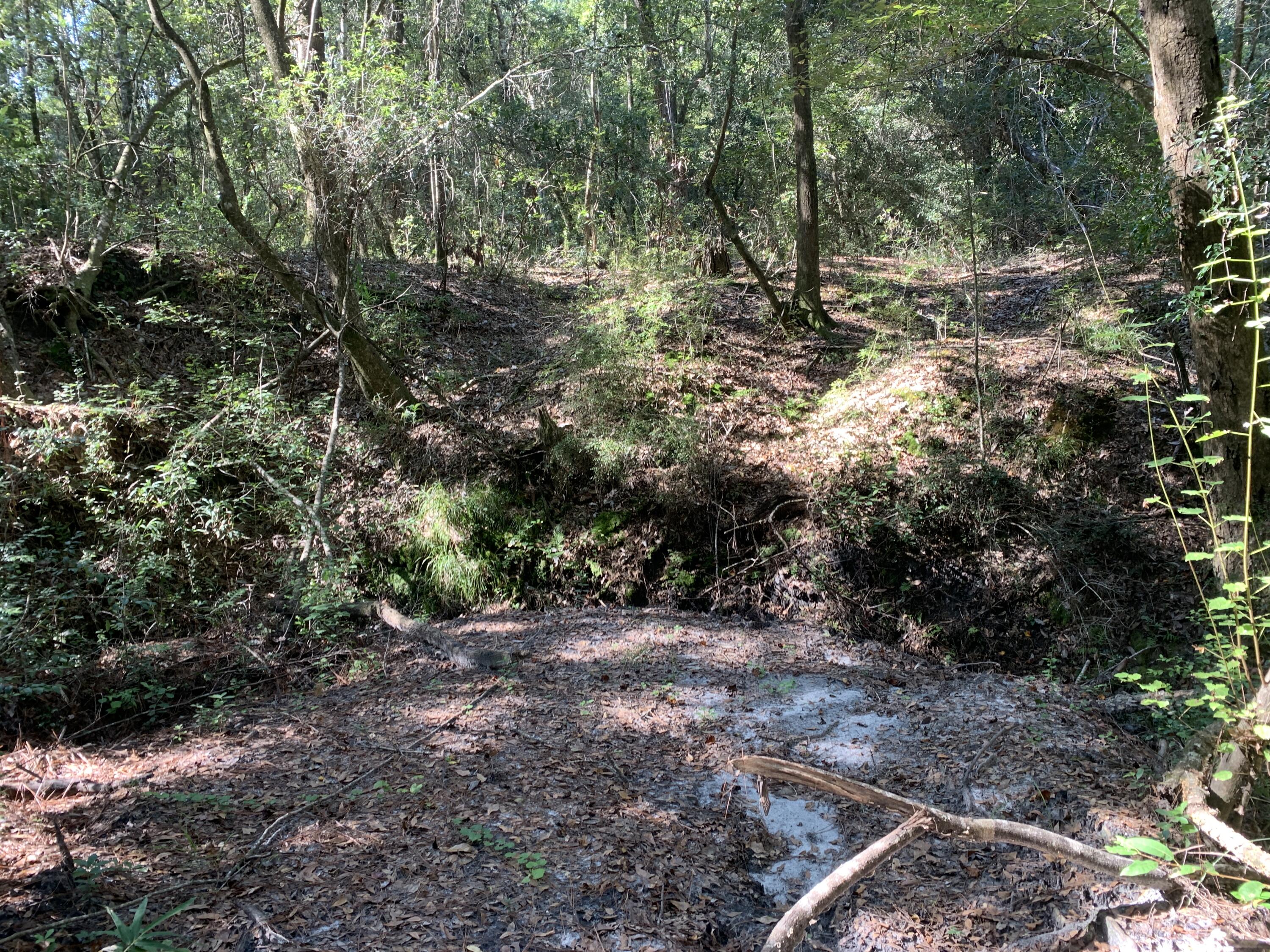 WALTON PLANTATION - Land