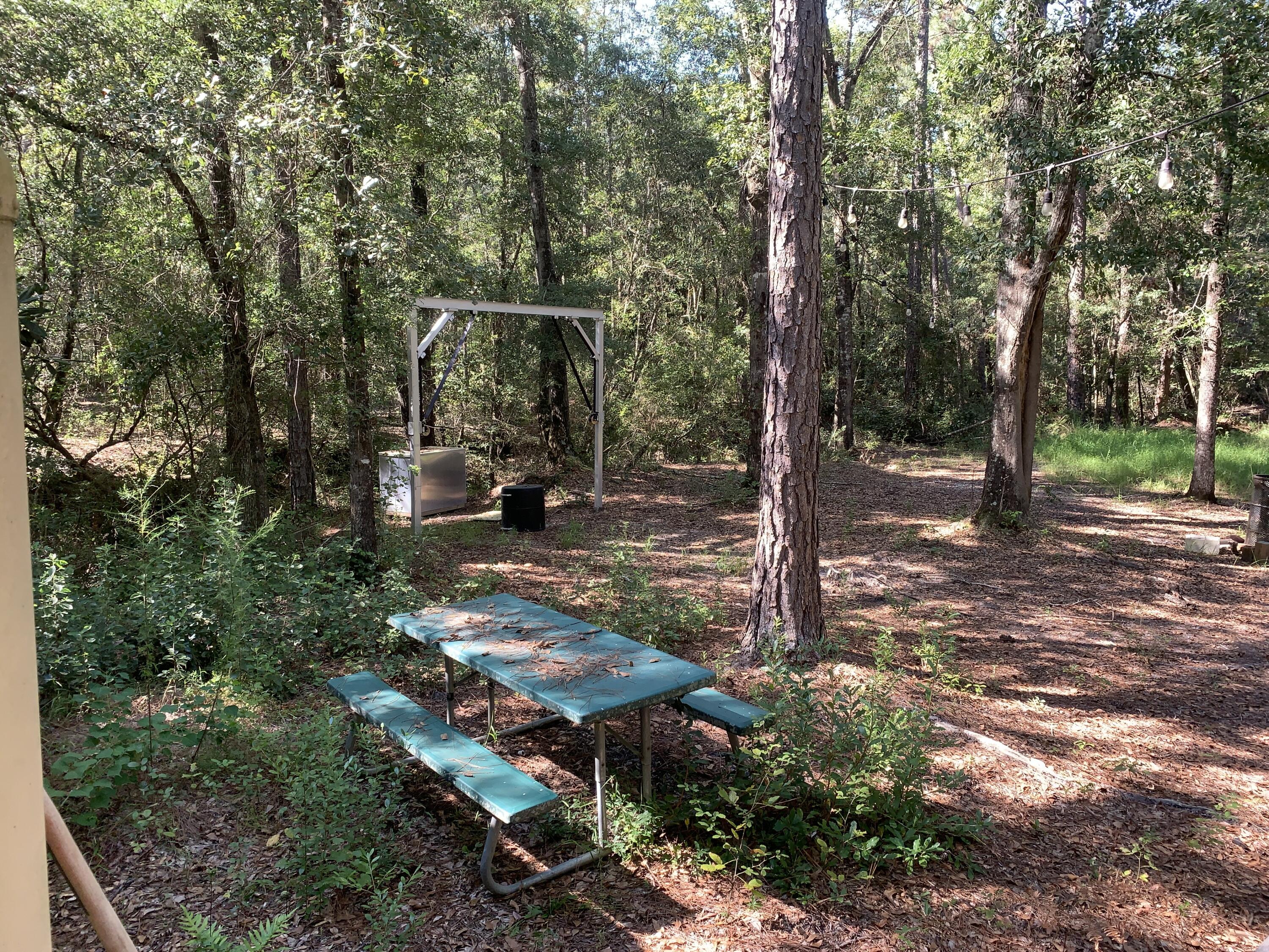 WALTON PLANTATION - Land