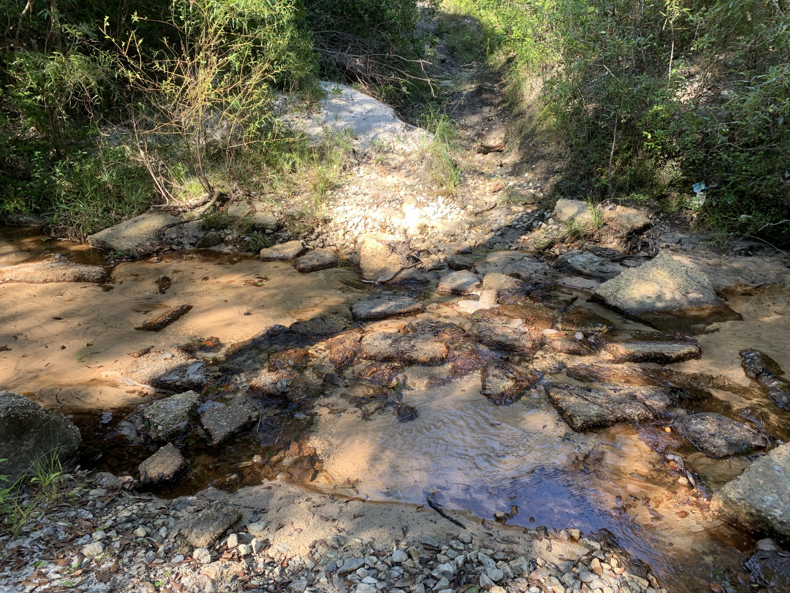 WALTON PLANTATION - Land