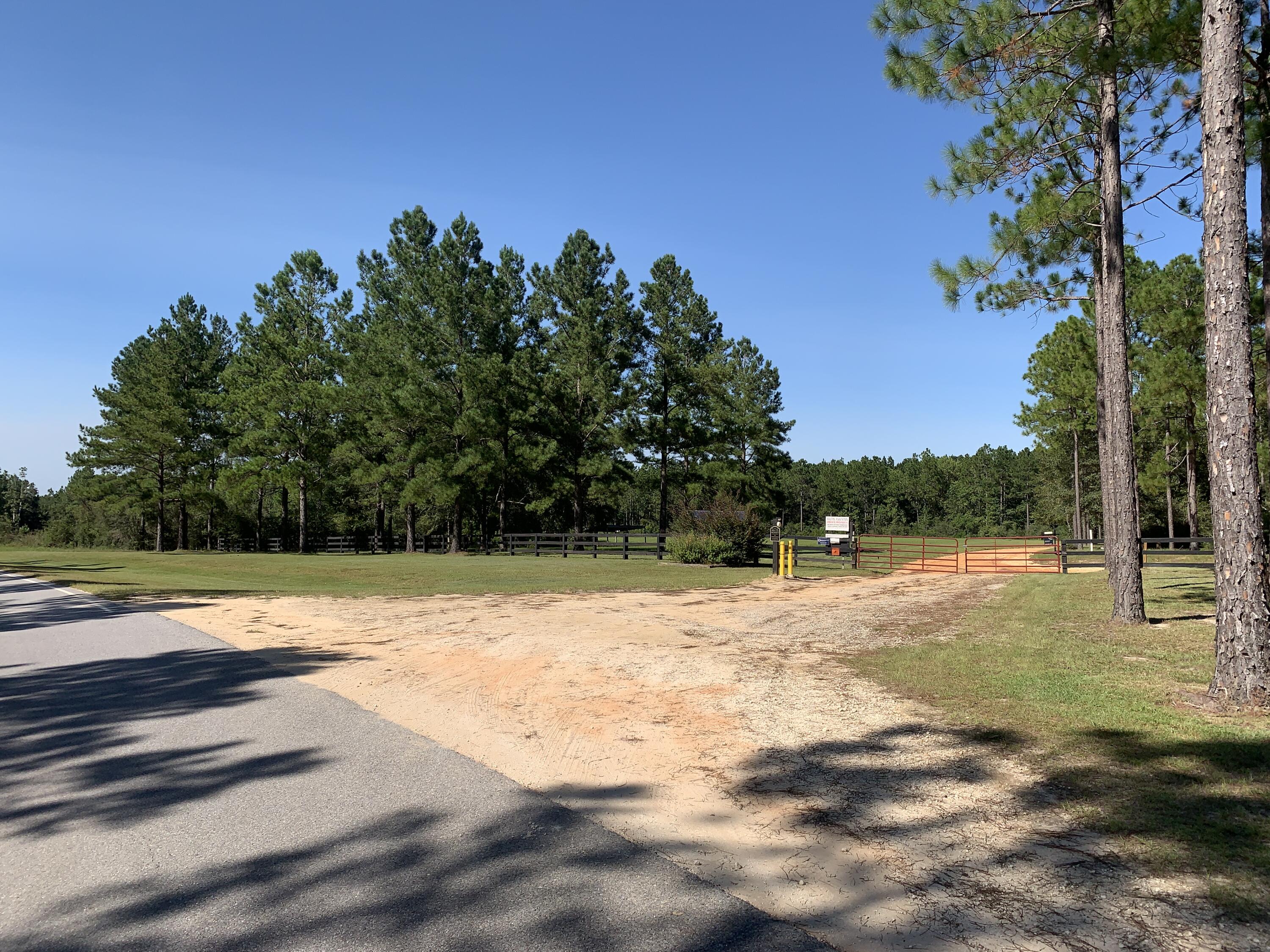 WALTON PLANTATION - Land