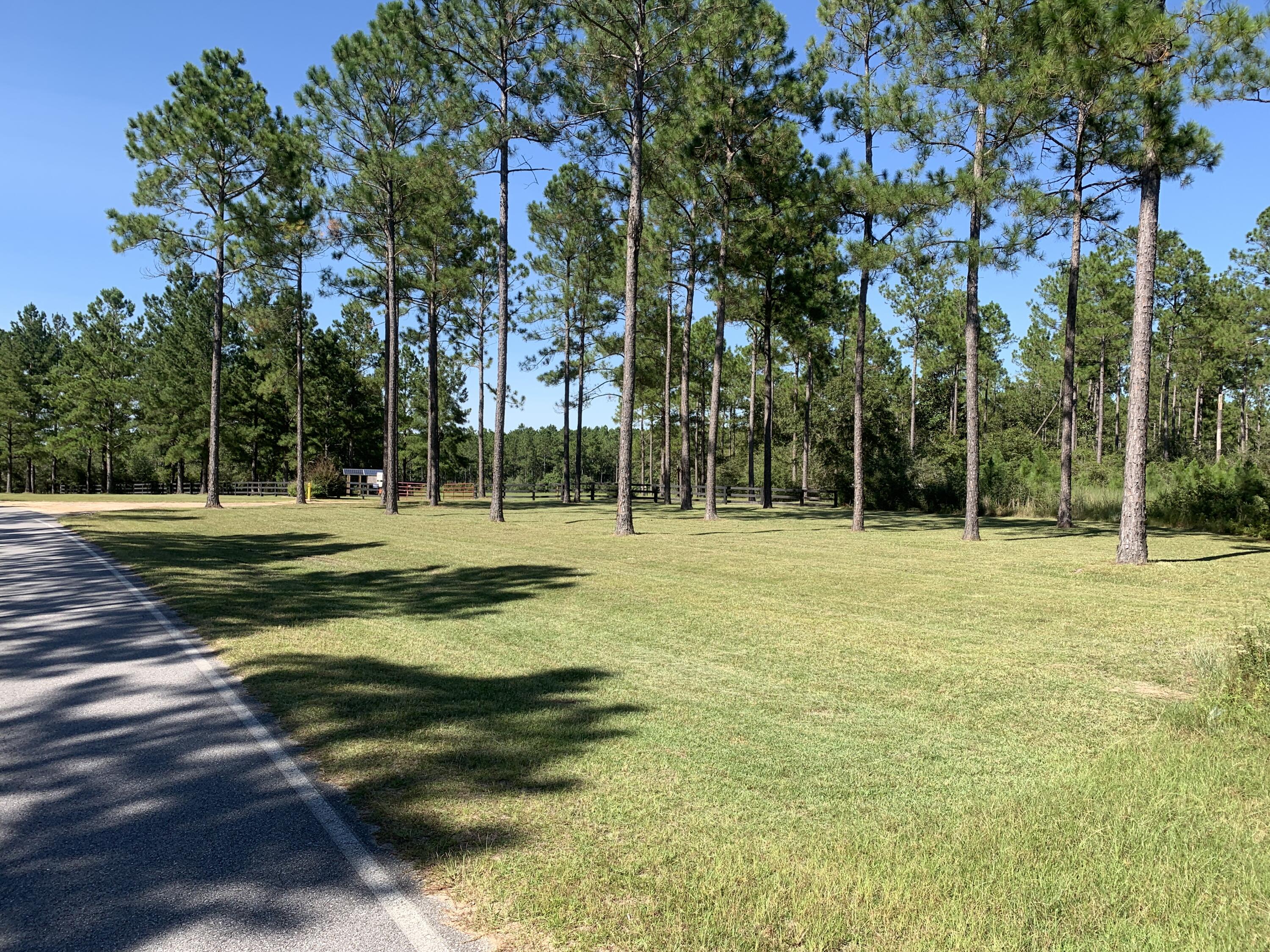 WALTON PLANTATION - Land