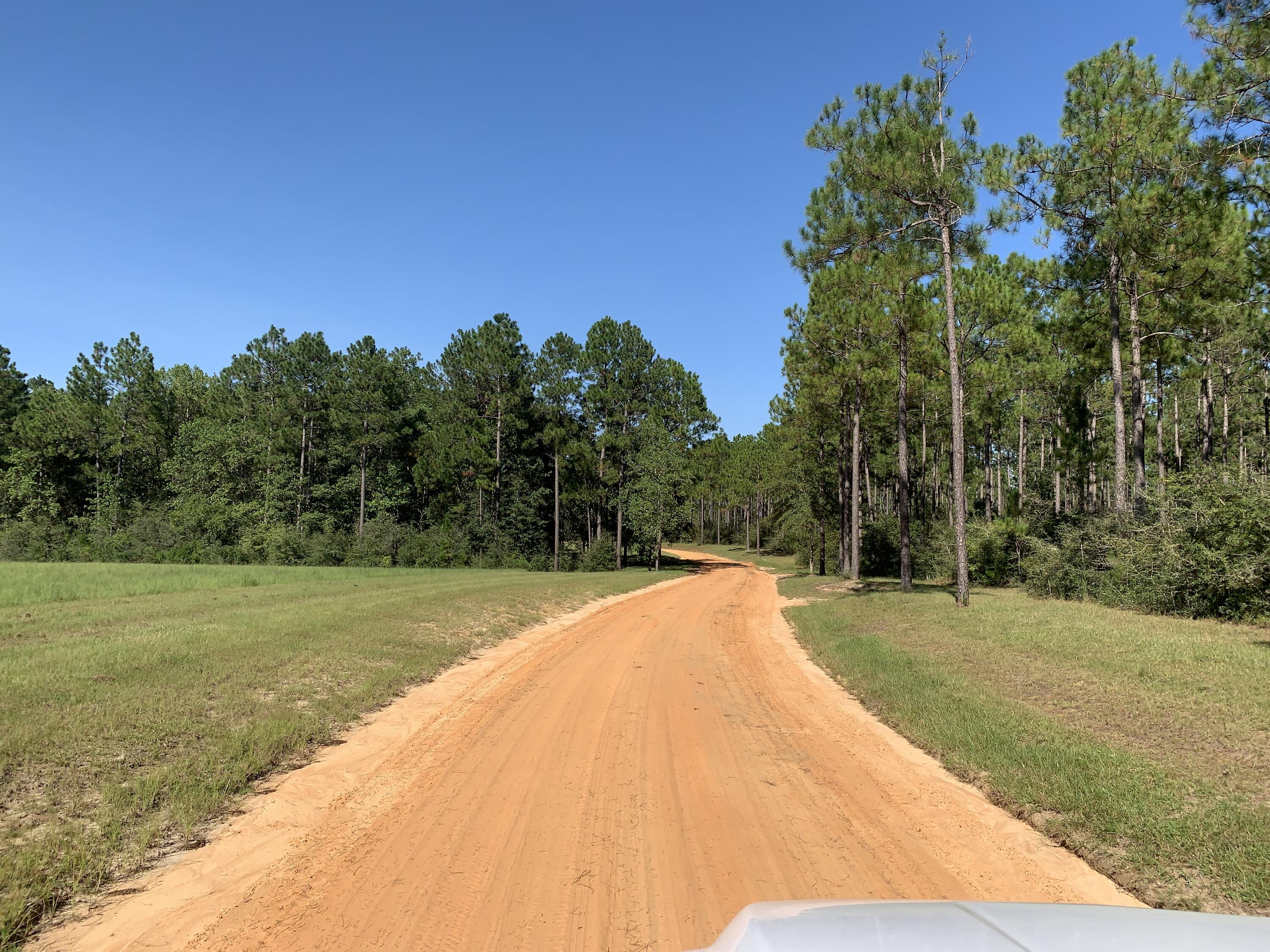 WALTON PLANTATION - Land