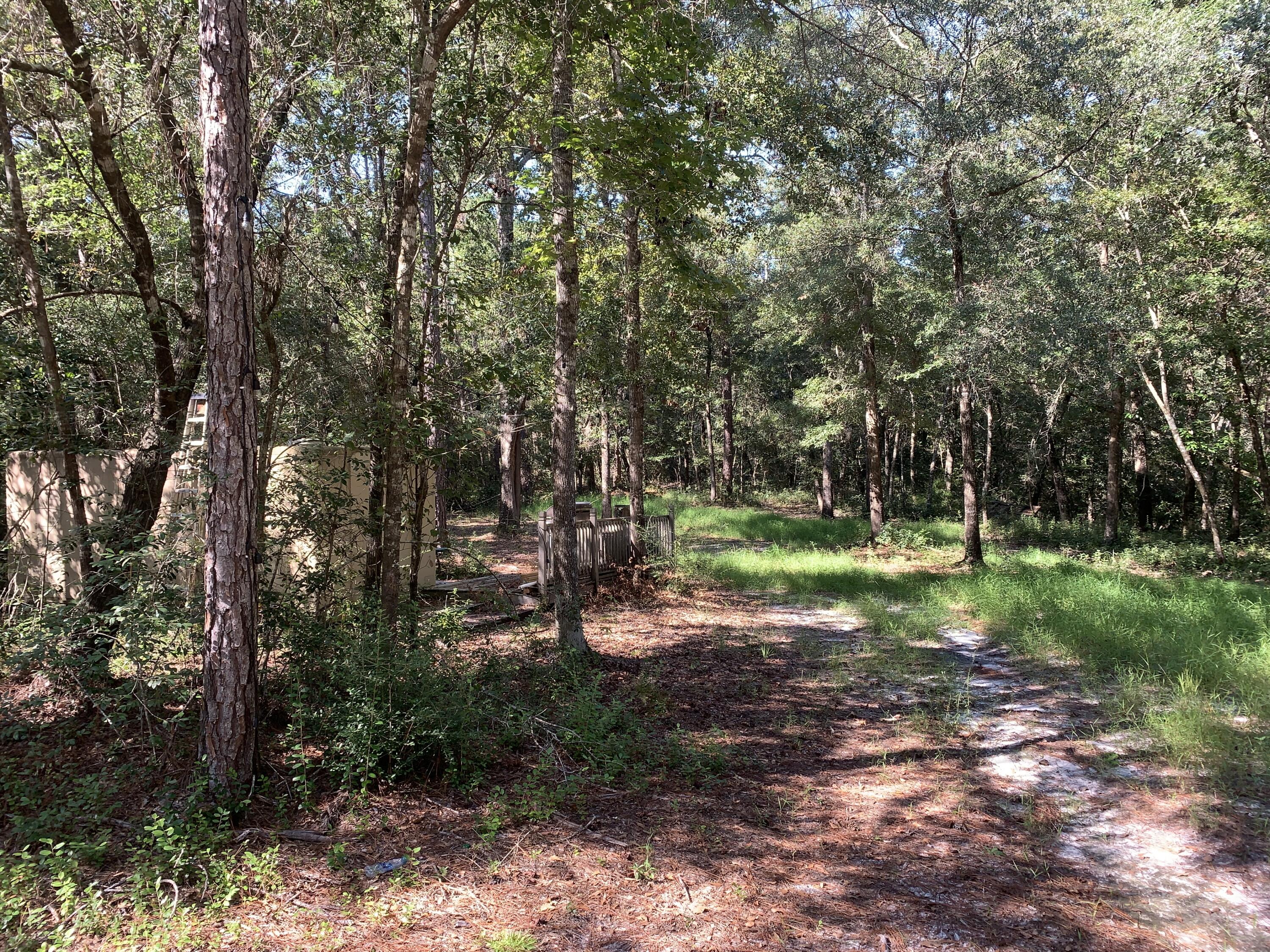 WALTON PLANTATION - Land
