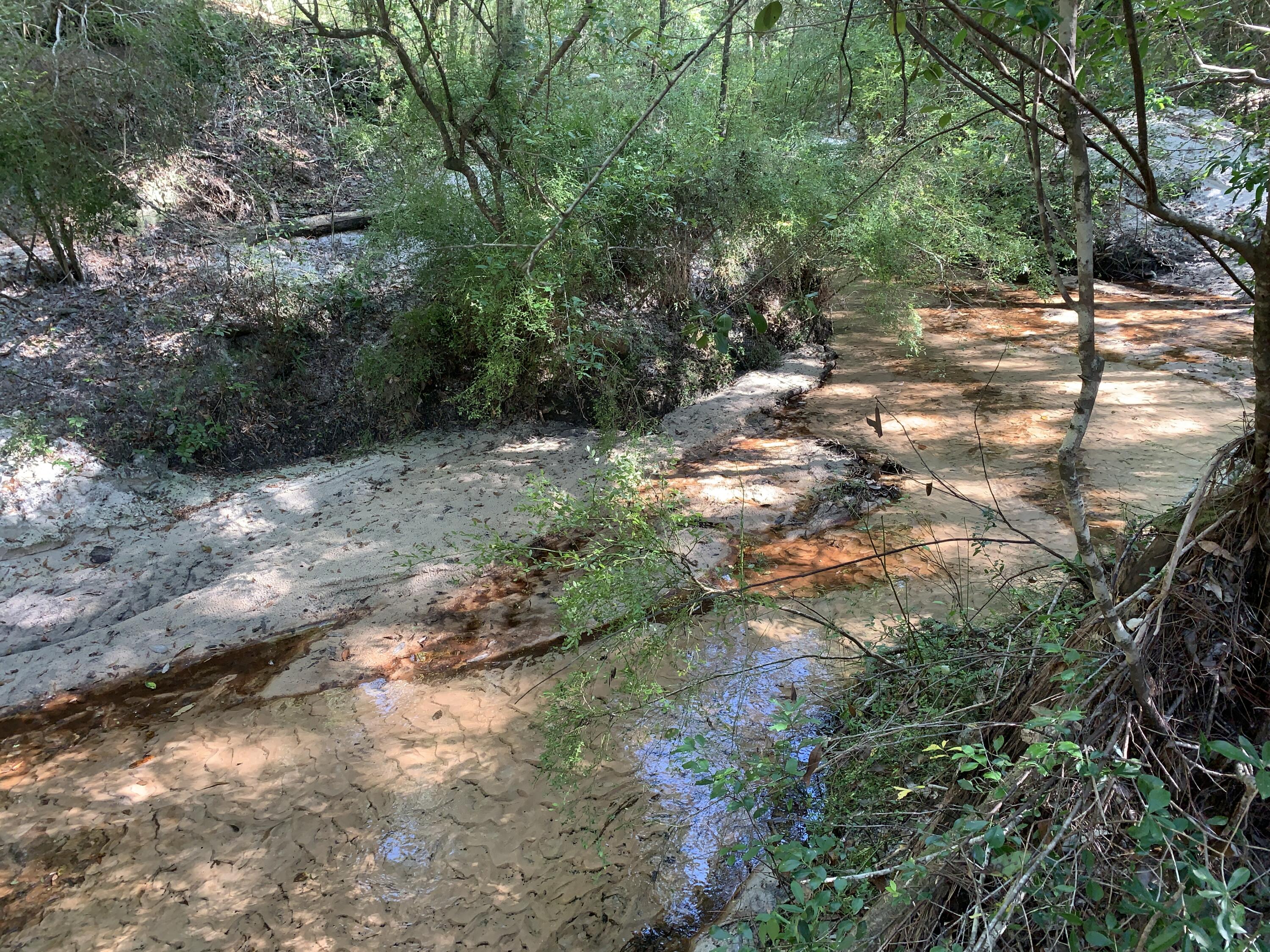 WALTON PLANTATION - Land
