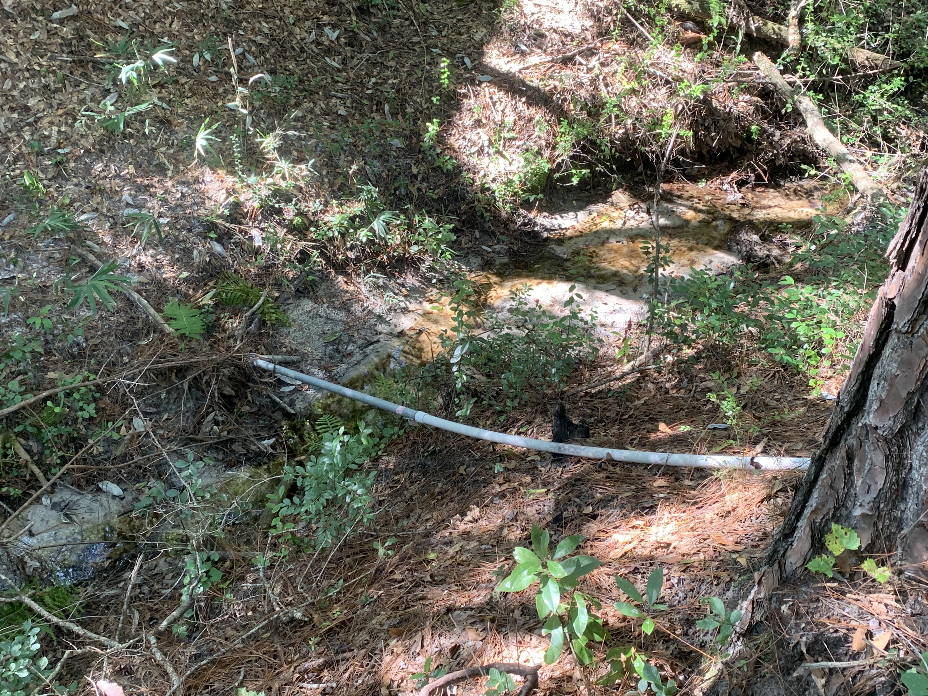 WALTON PLANTATION - Land