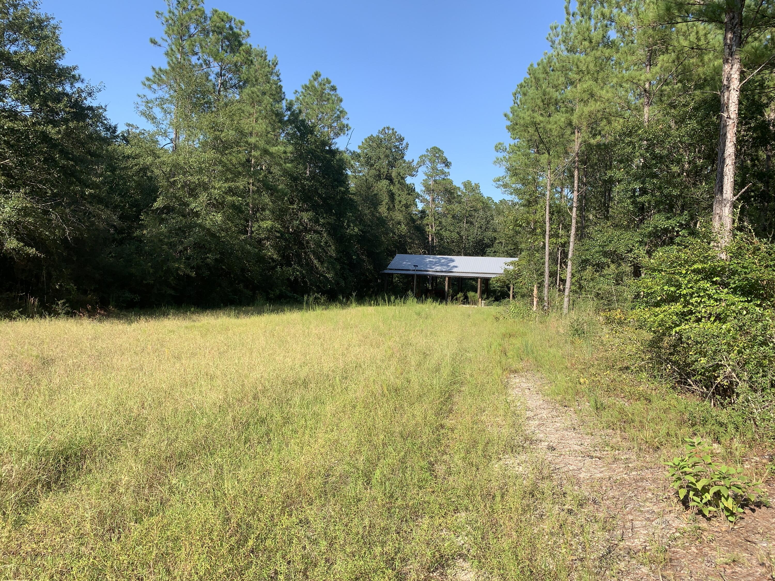 WALTON PLANTATION - Land