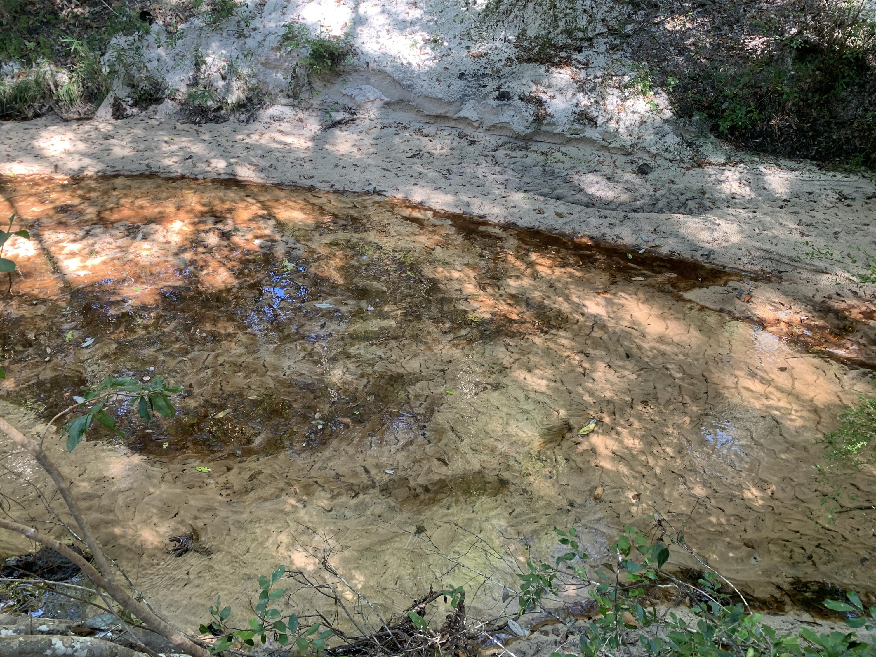 WALTON PLANTATION - Land