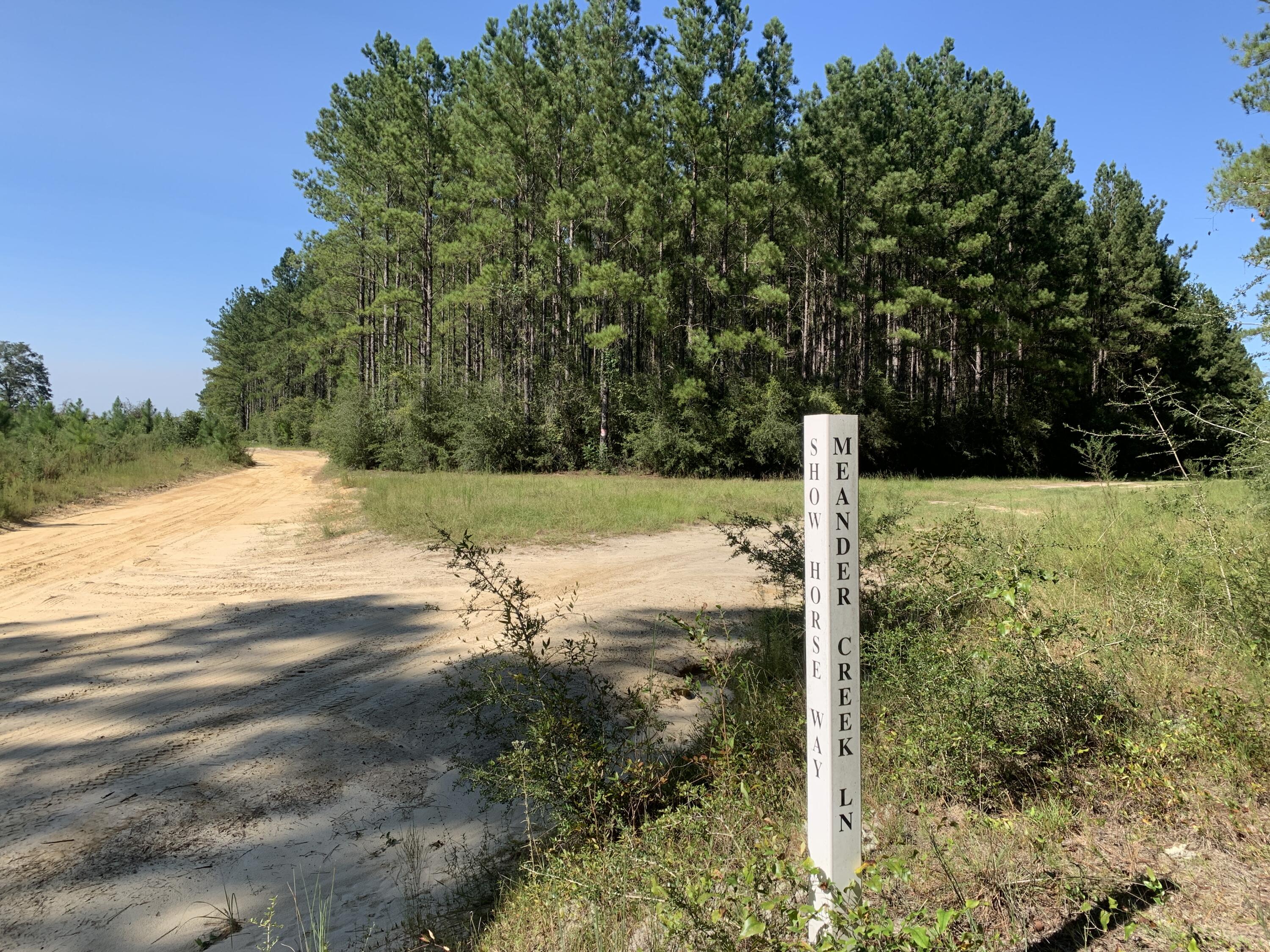 WALTON PLANTATION - Land