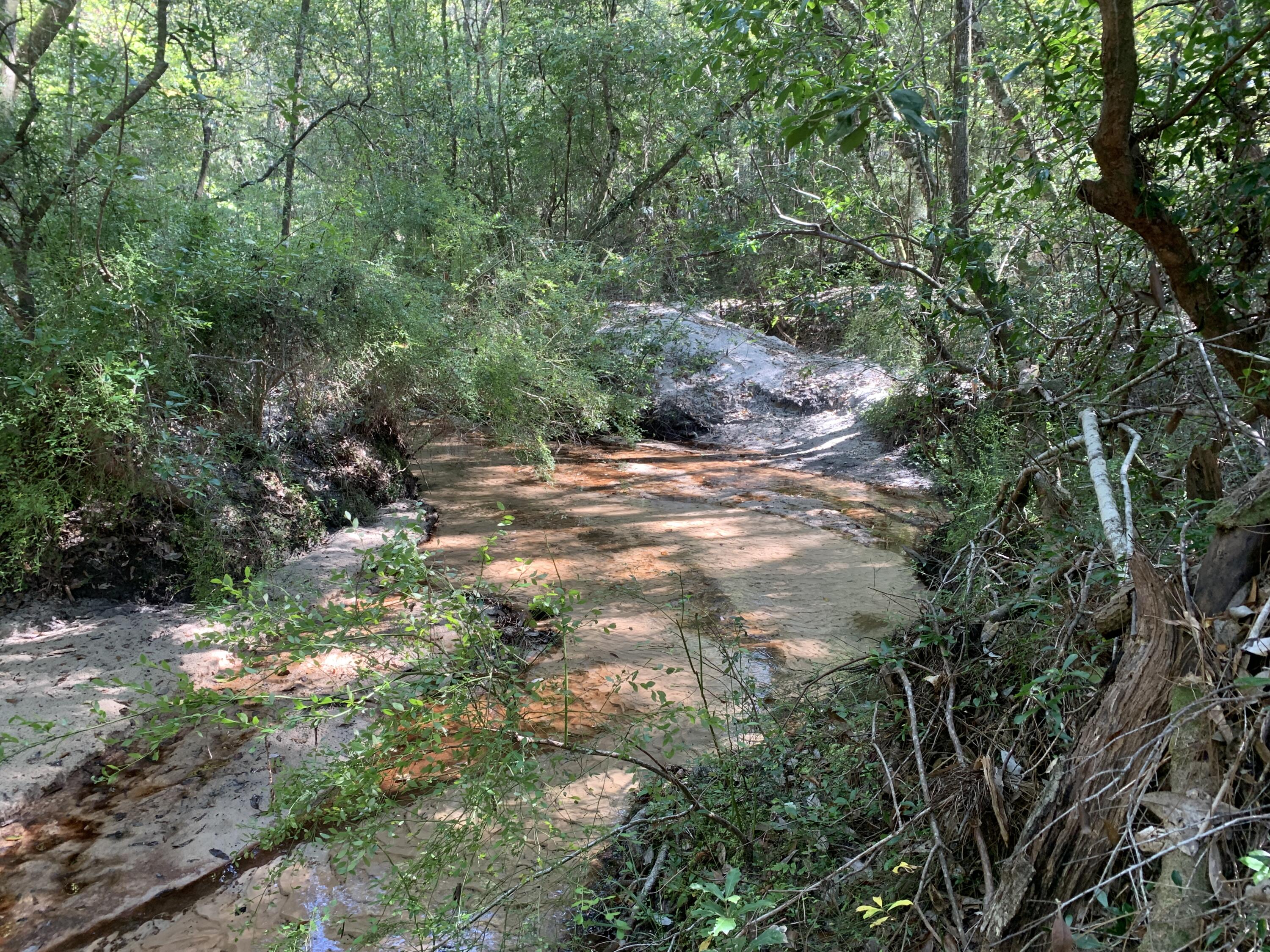 WALTON PLANTATION - Land