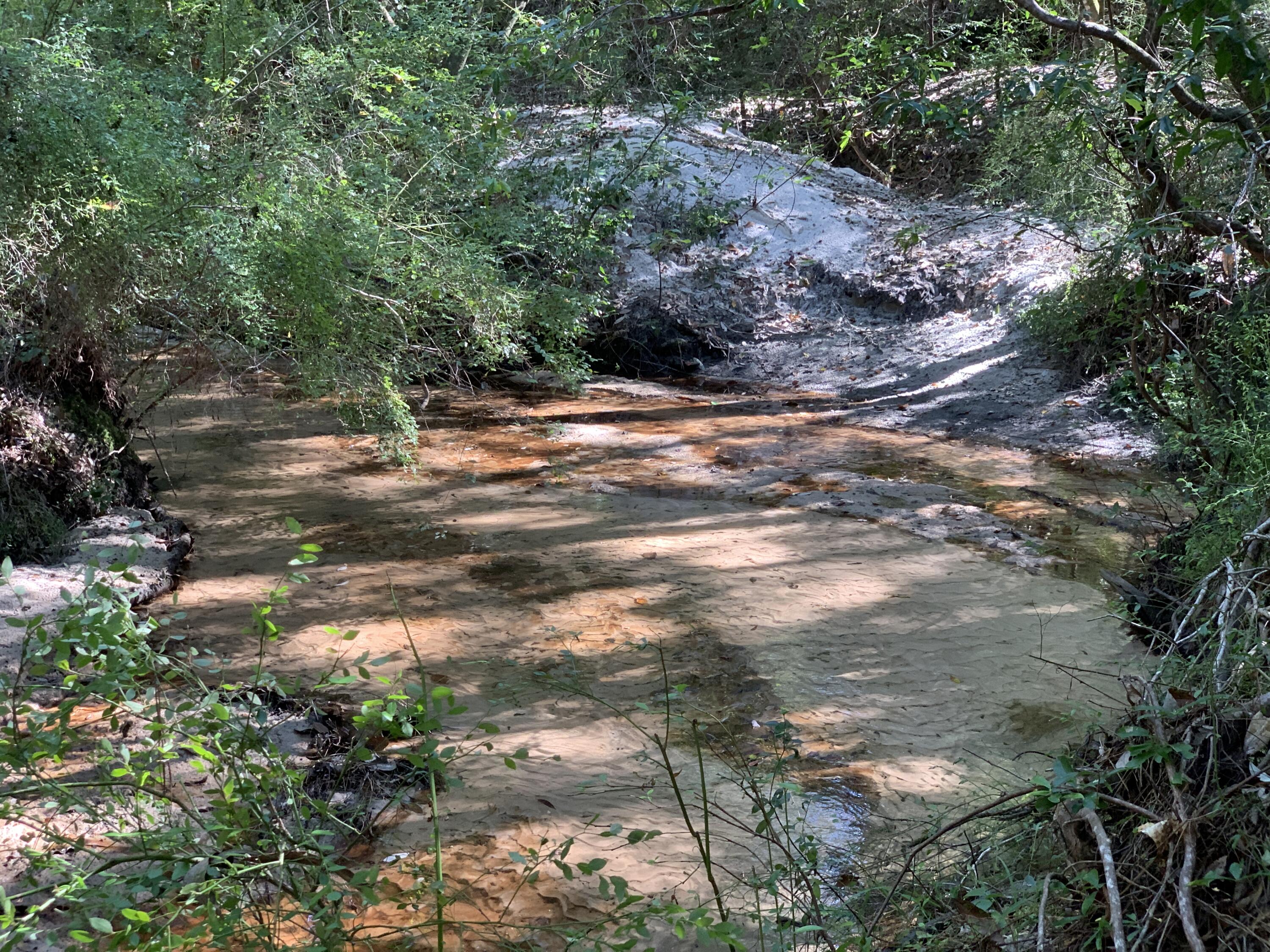 WALTON PLANTATION - Land