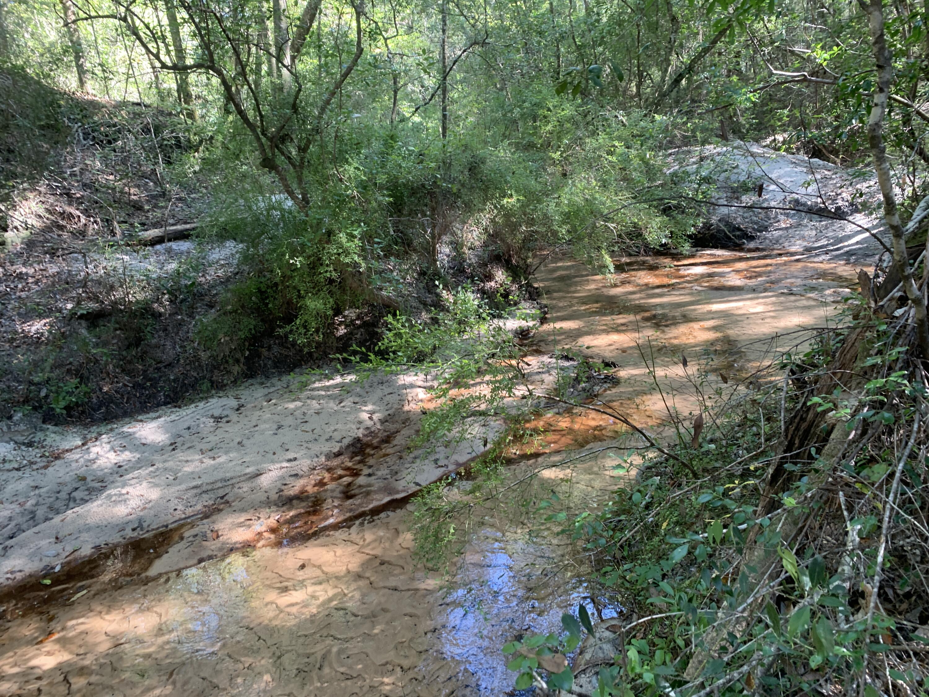 WALTON PLANTATION - Land