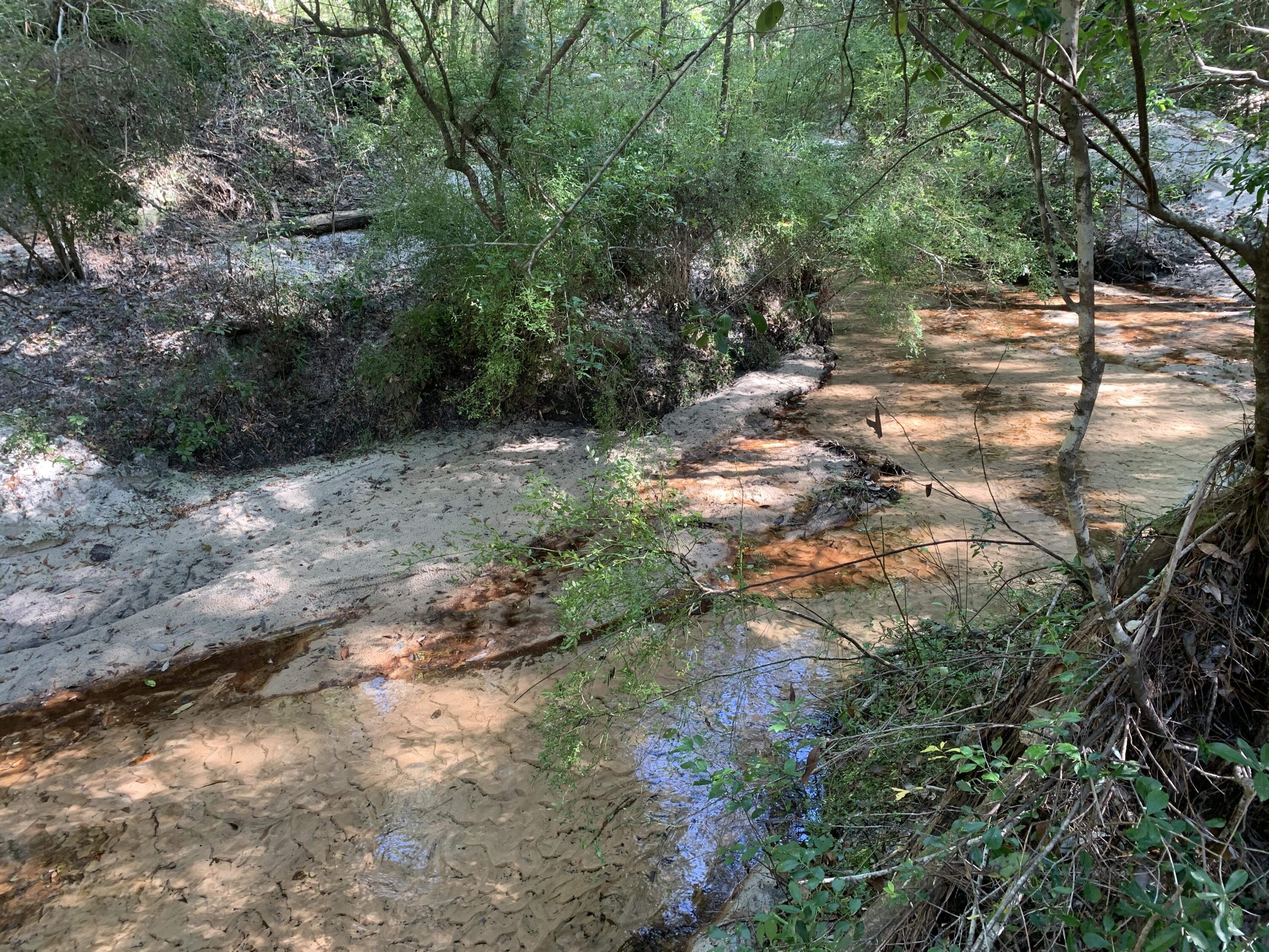 WALTON PLANTATION - Land