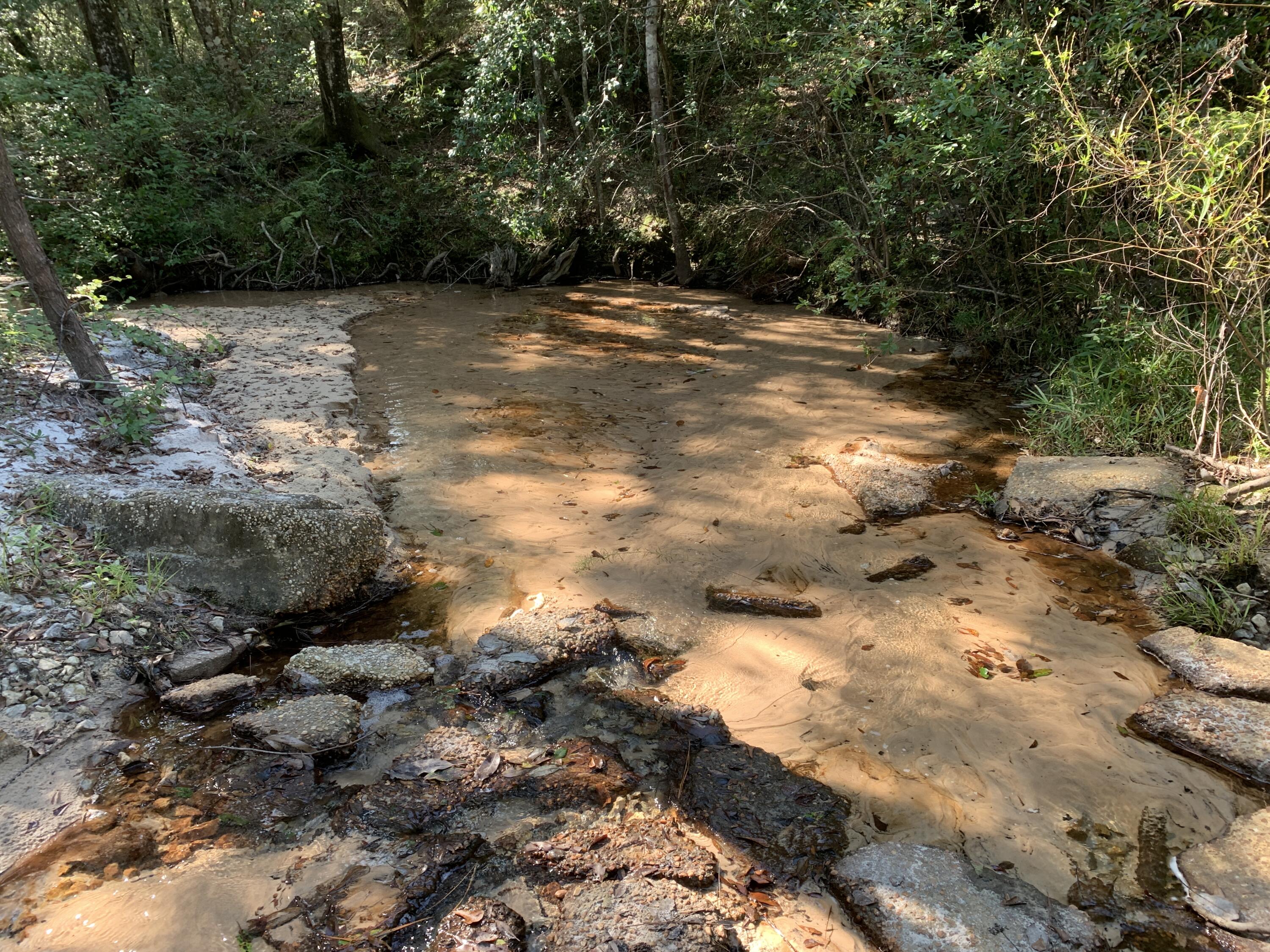 WALTON PLANTATION - Land