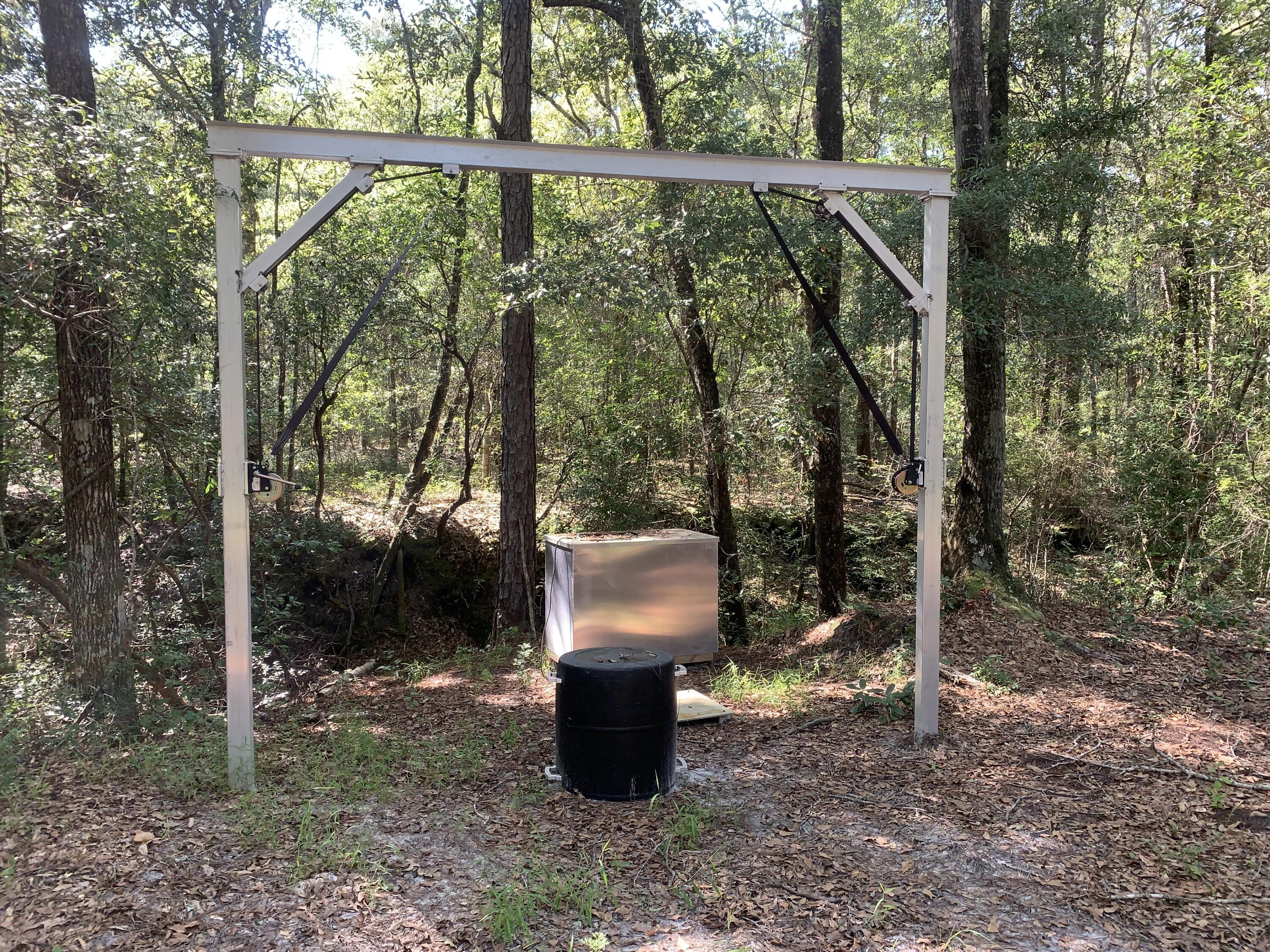 WALTON PLANTATION - Land