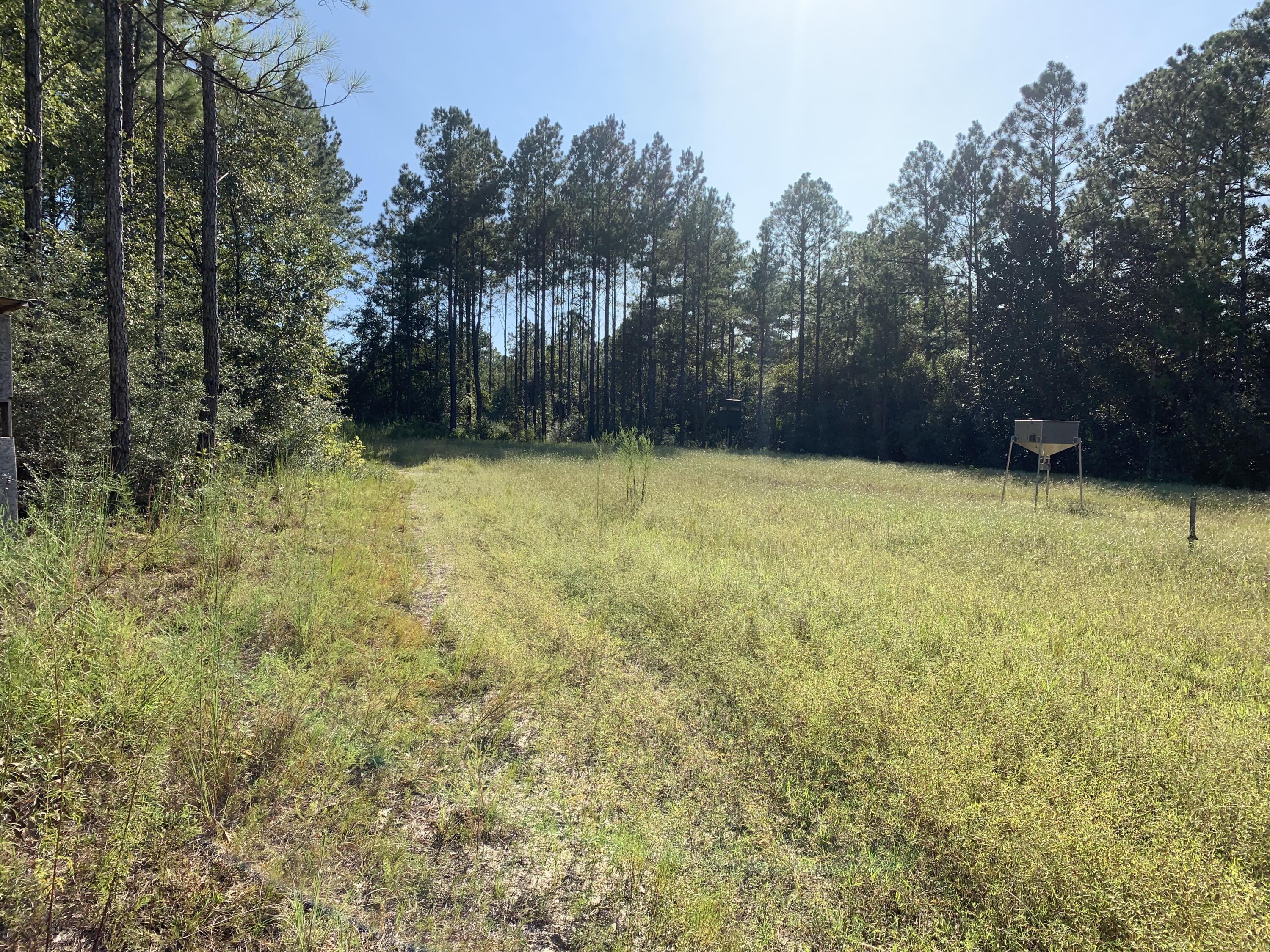 WALTON PLANTATION - Land