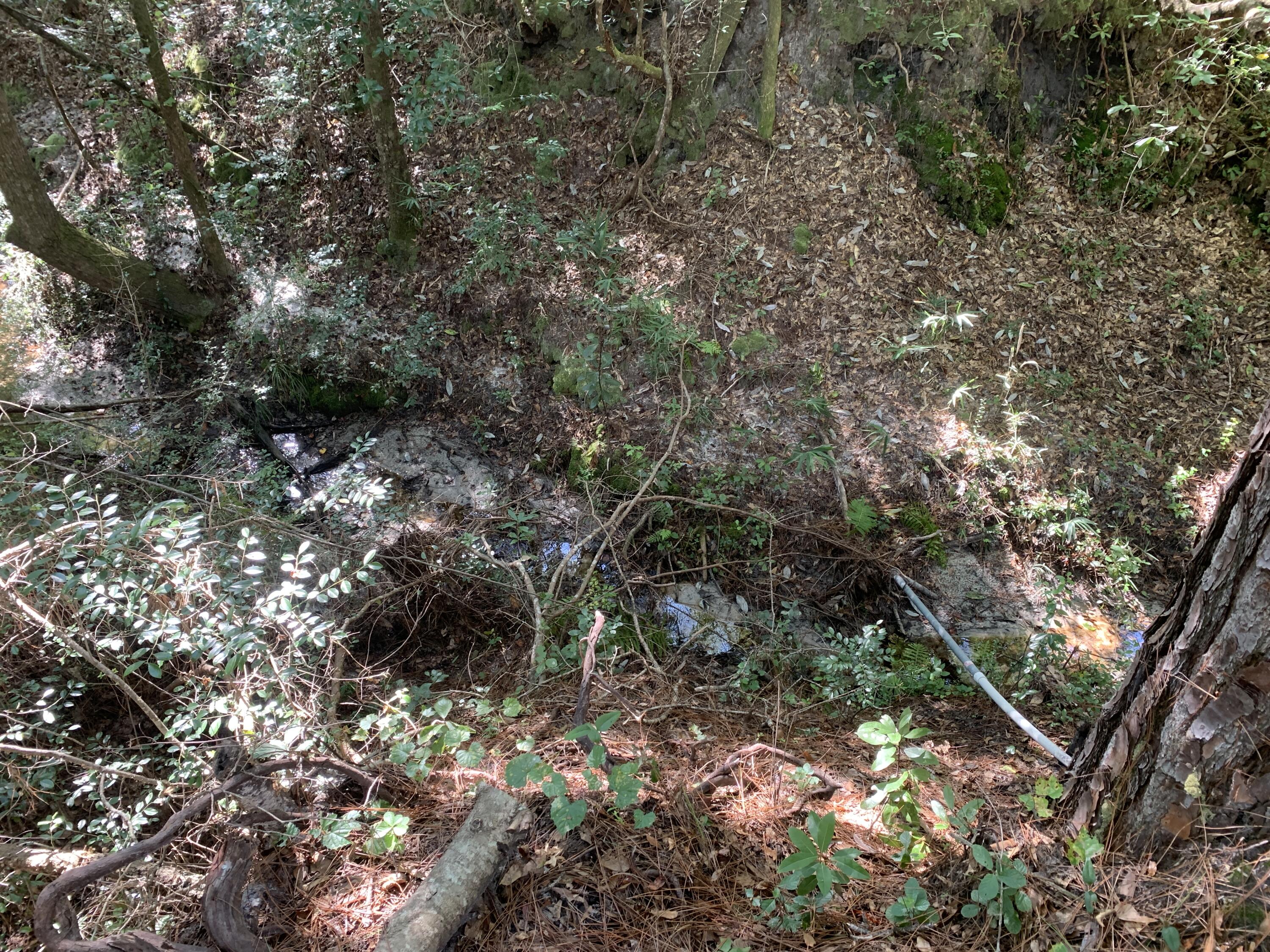 WALTON PLANTATION - Land