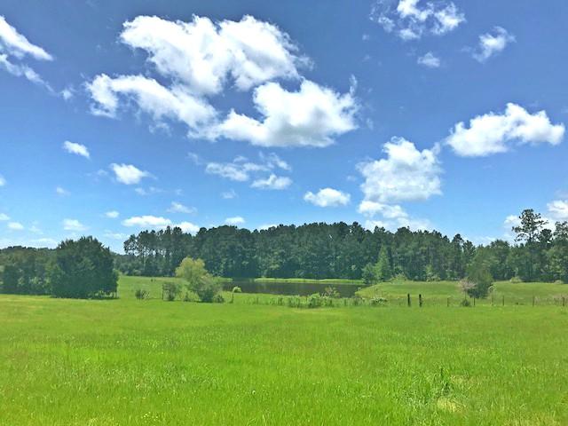 Metes and Bounds - Residential