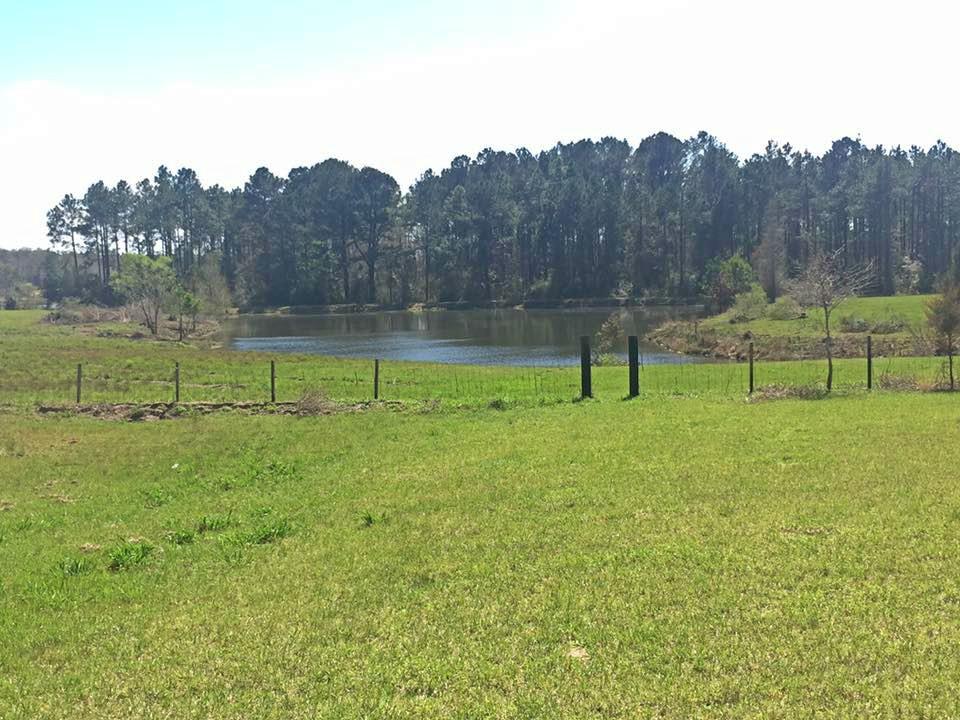 Metes and Bounds - Residential