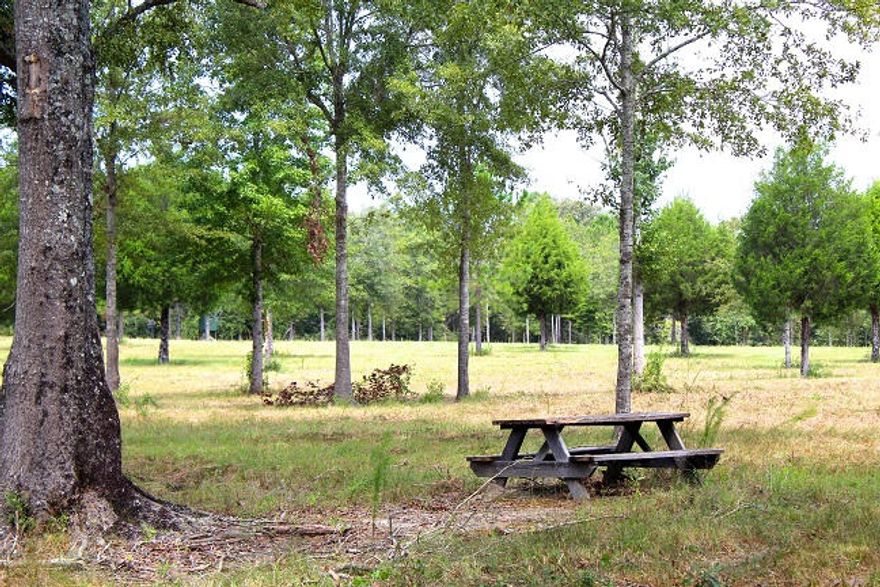 20 beautiful landscaped acres in North Walton County. Quiet & Peaceful. God's country. Paved Road frontage. Shooting house in place and ready to be used. Build your country dream home or a country cabin. The choice is yours. Owner financing is available. 20% down at 7% amortized for ten years paid monthly at 696.65 with a balloon payment of balance due at the end of 3 years